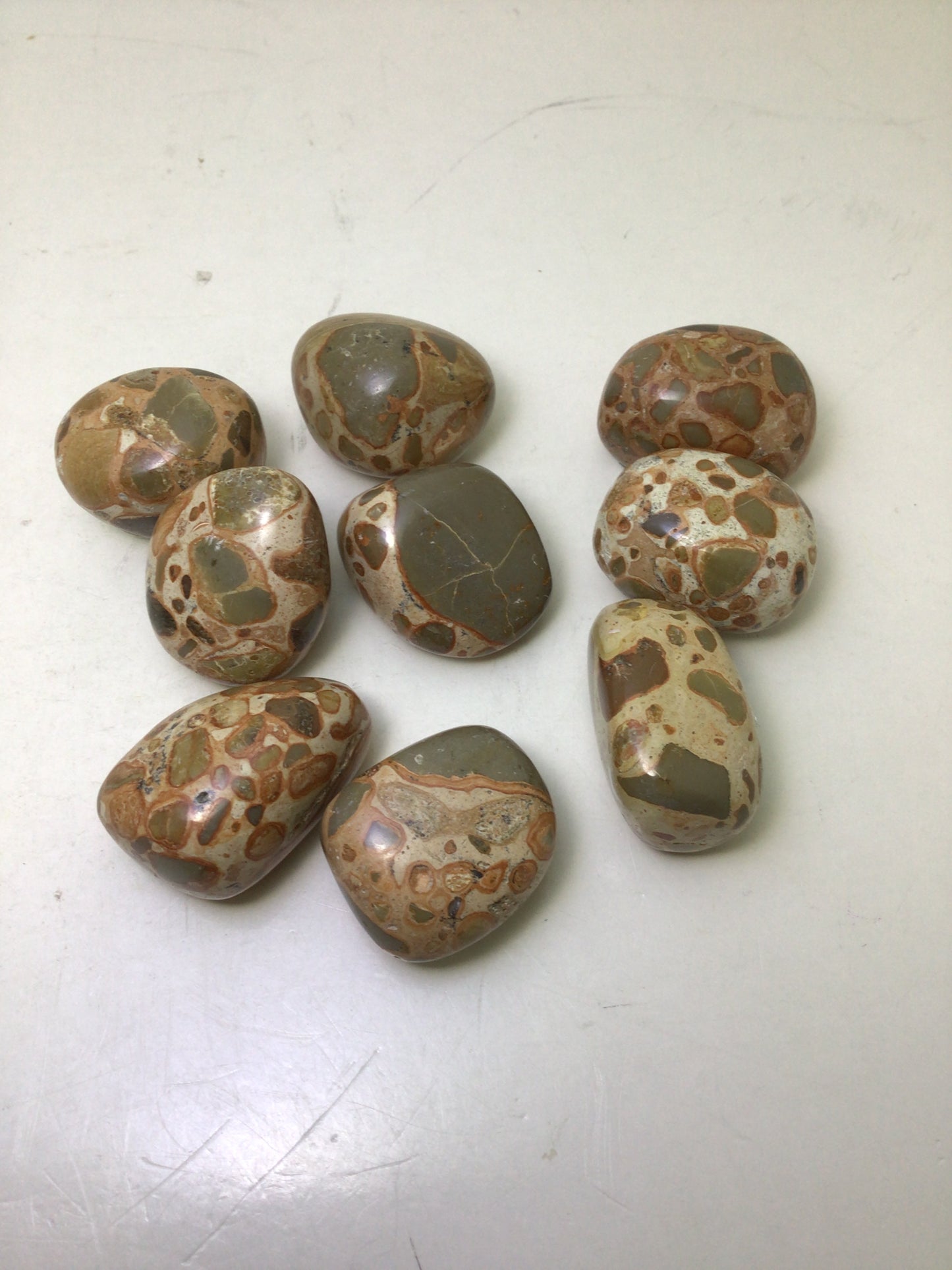 Leopardskin Jasper