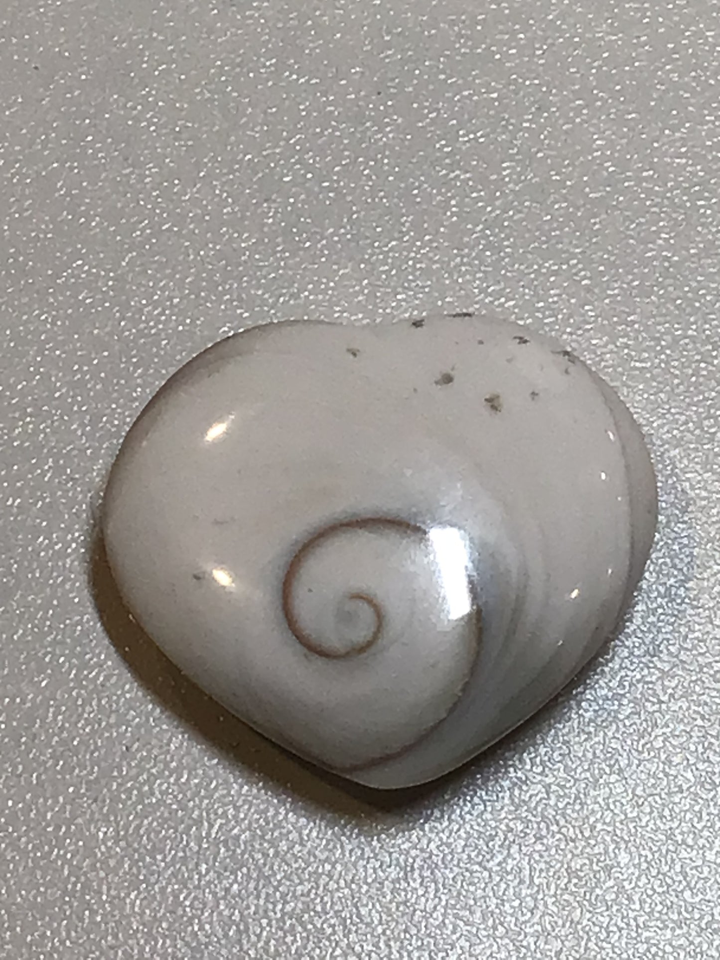 Shiva Shell Heart