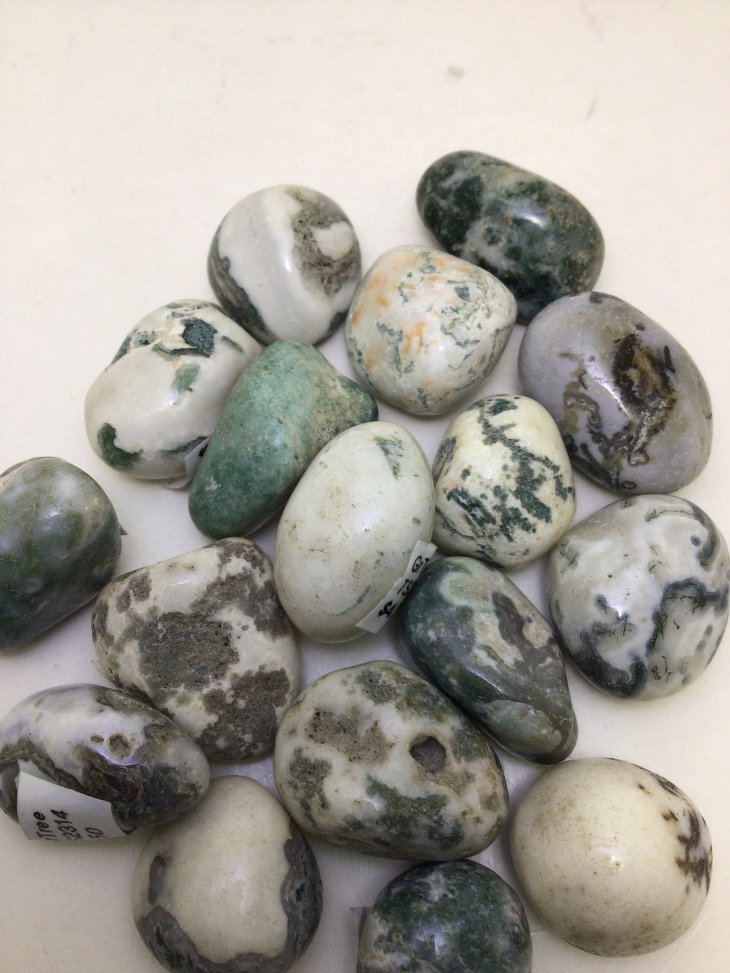 Green Tree Agate