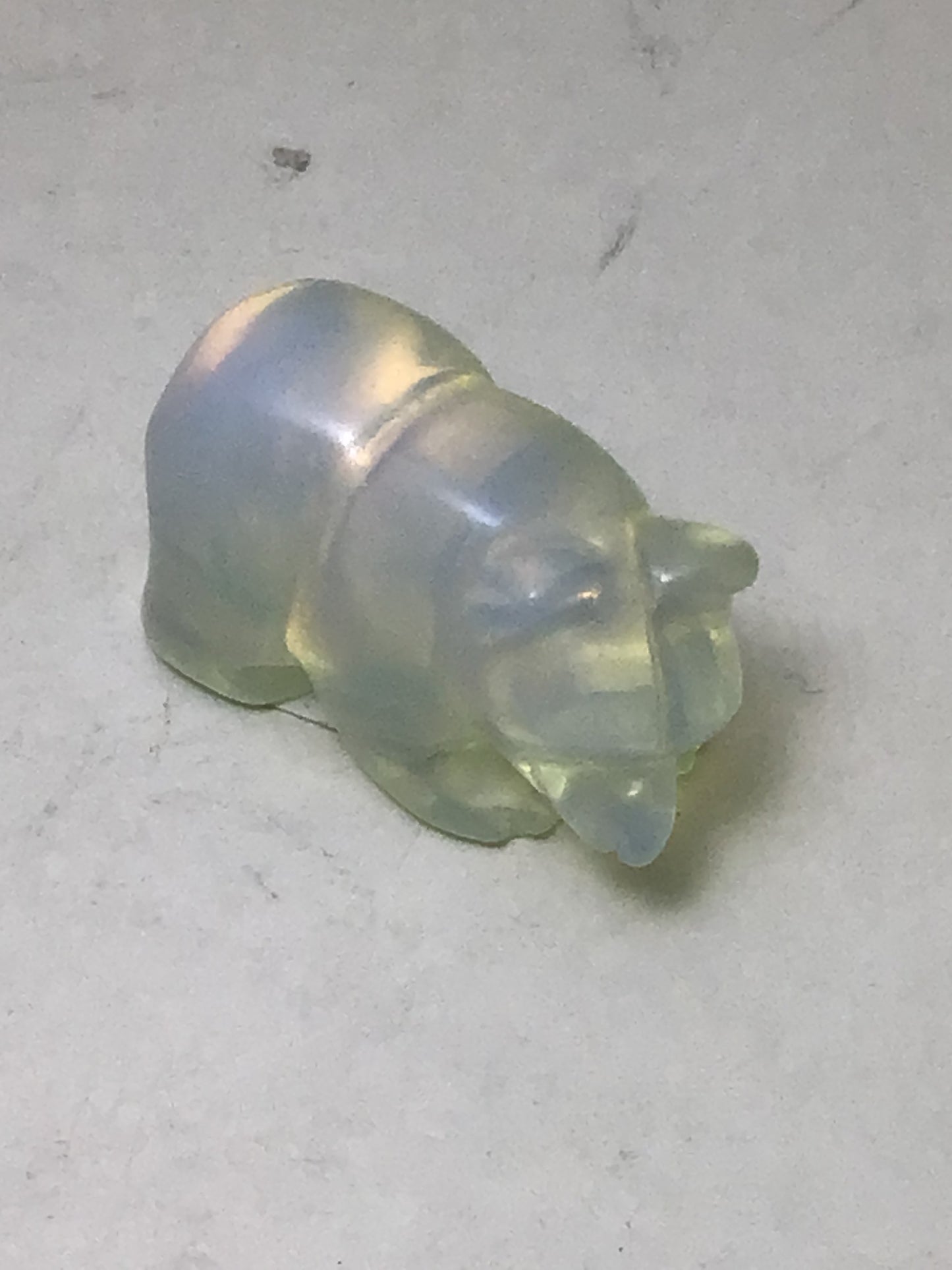 Opalite Bear