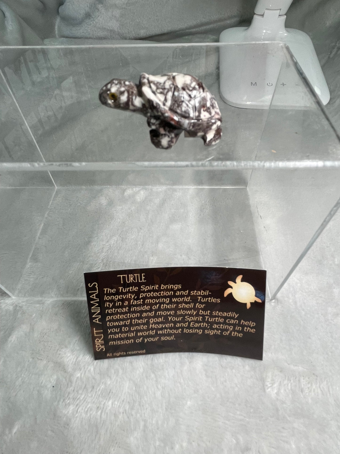 Turtle Spirit Animal