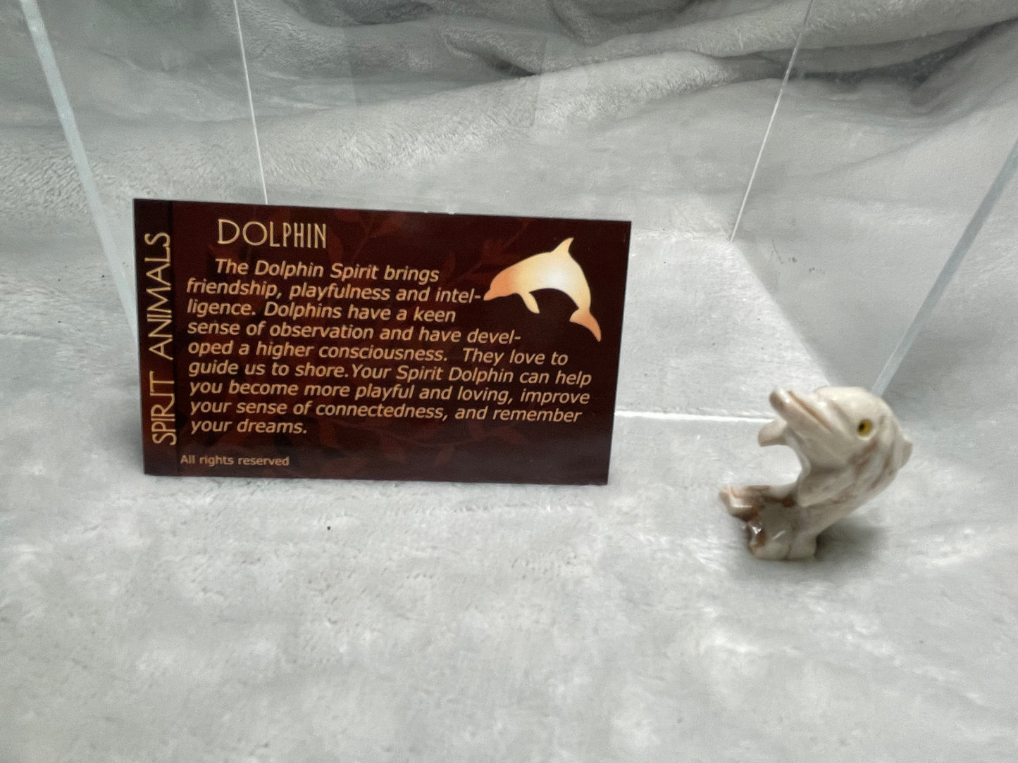 Dolphin Spirit Animal