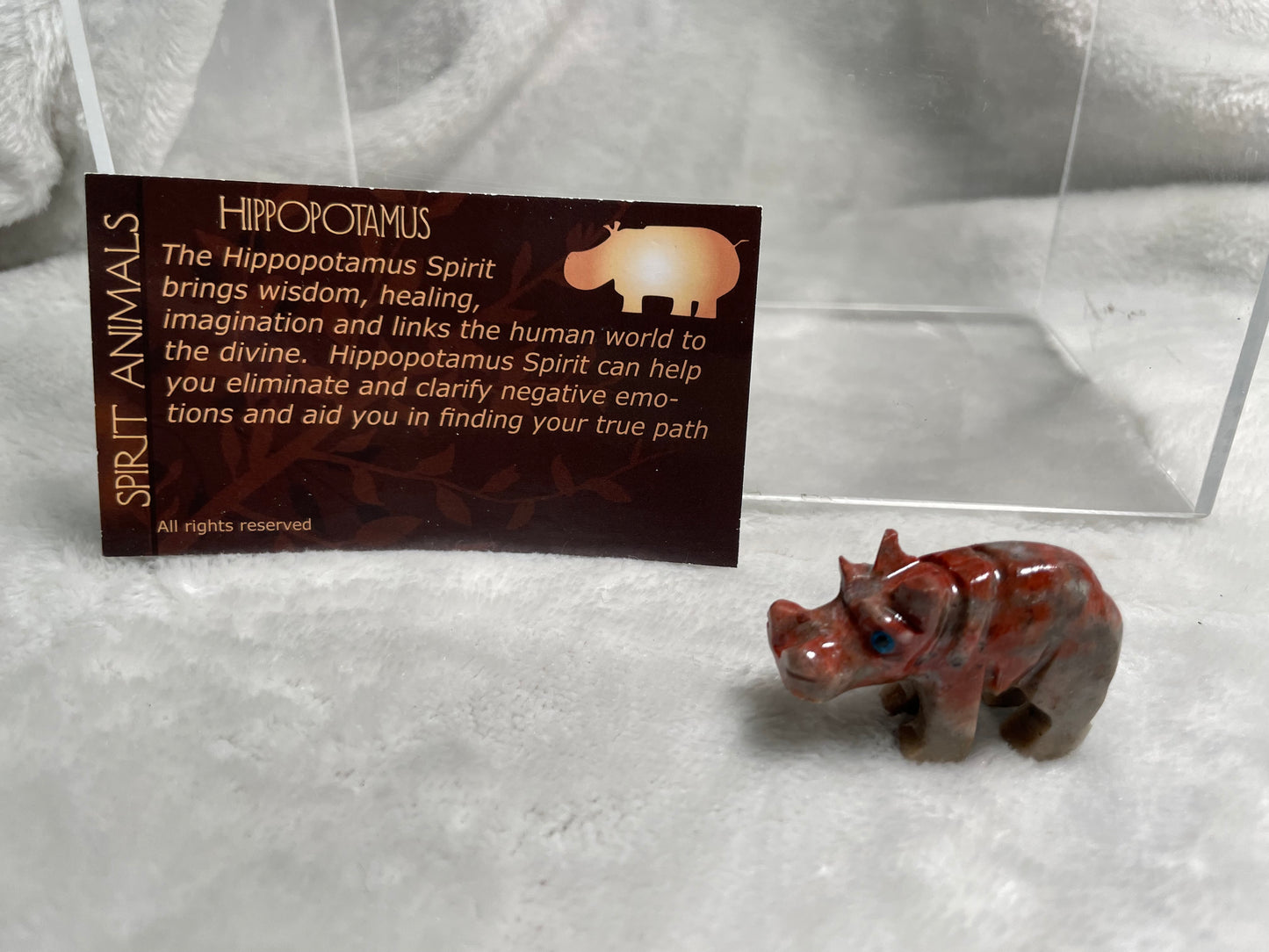 Hippopotamus Spirit Animal