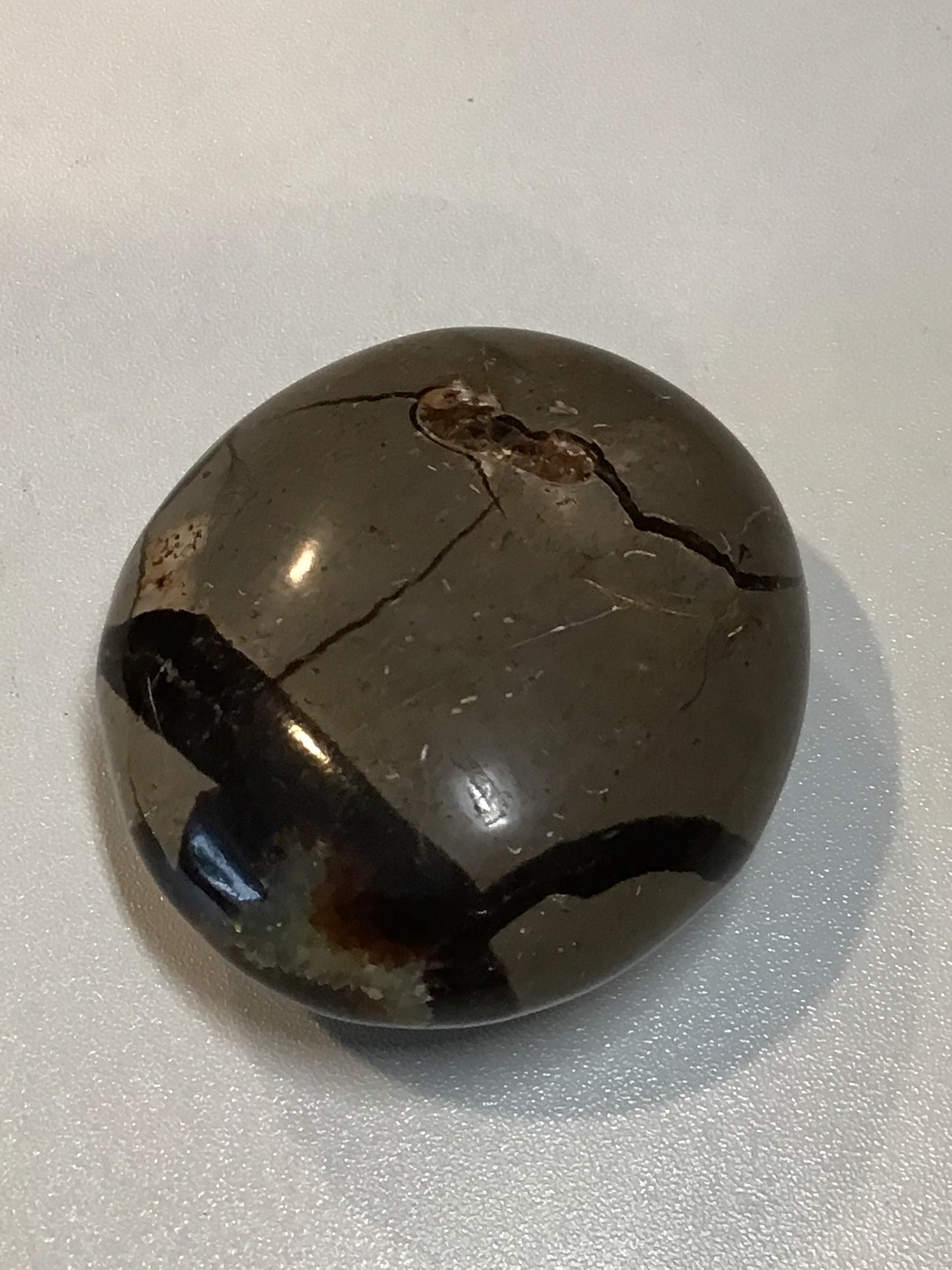 Septarian Nugget