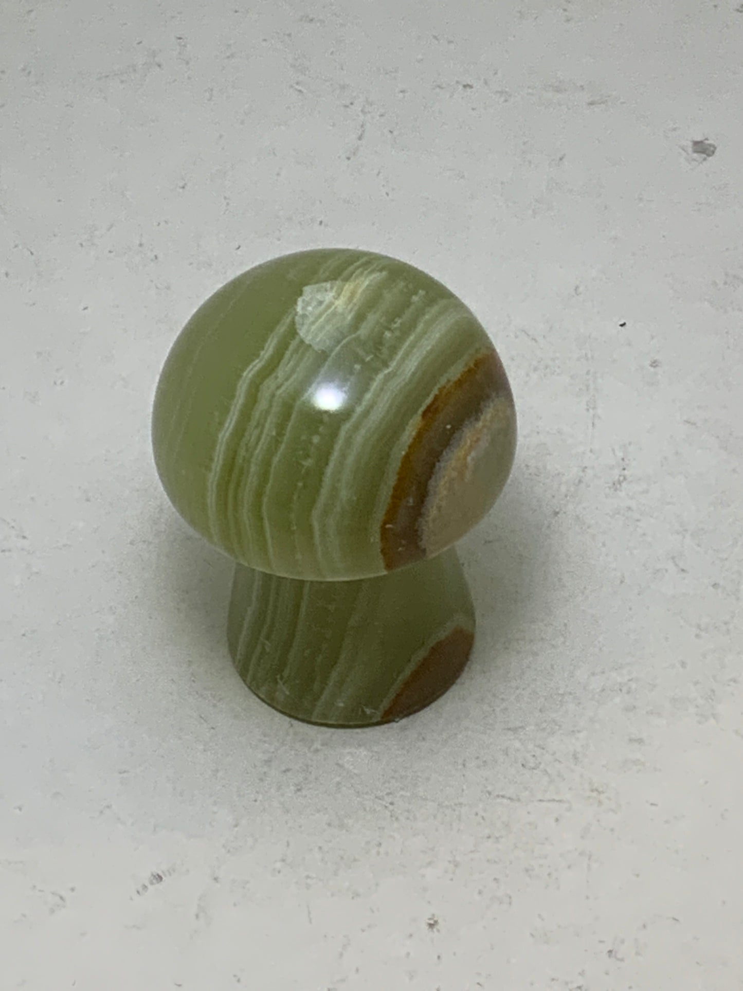 Gemstone Mushroom