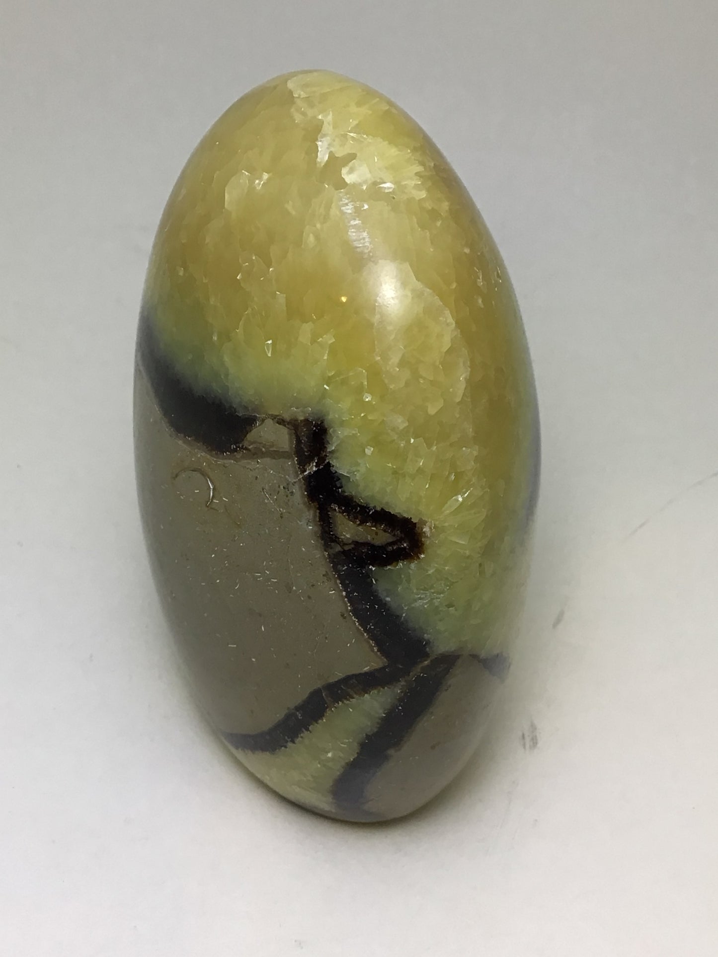Septarian Freeform
