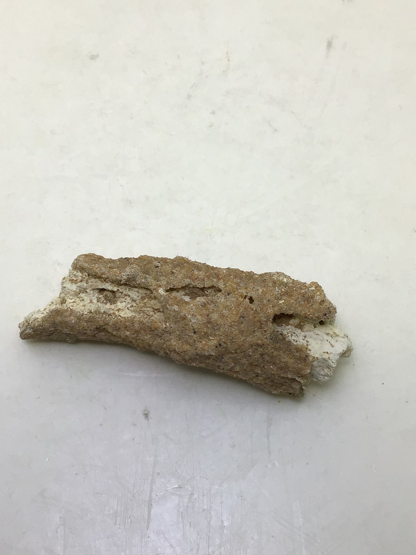 Fulgurite