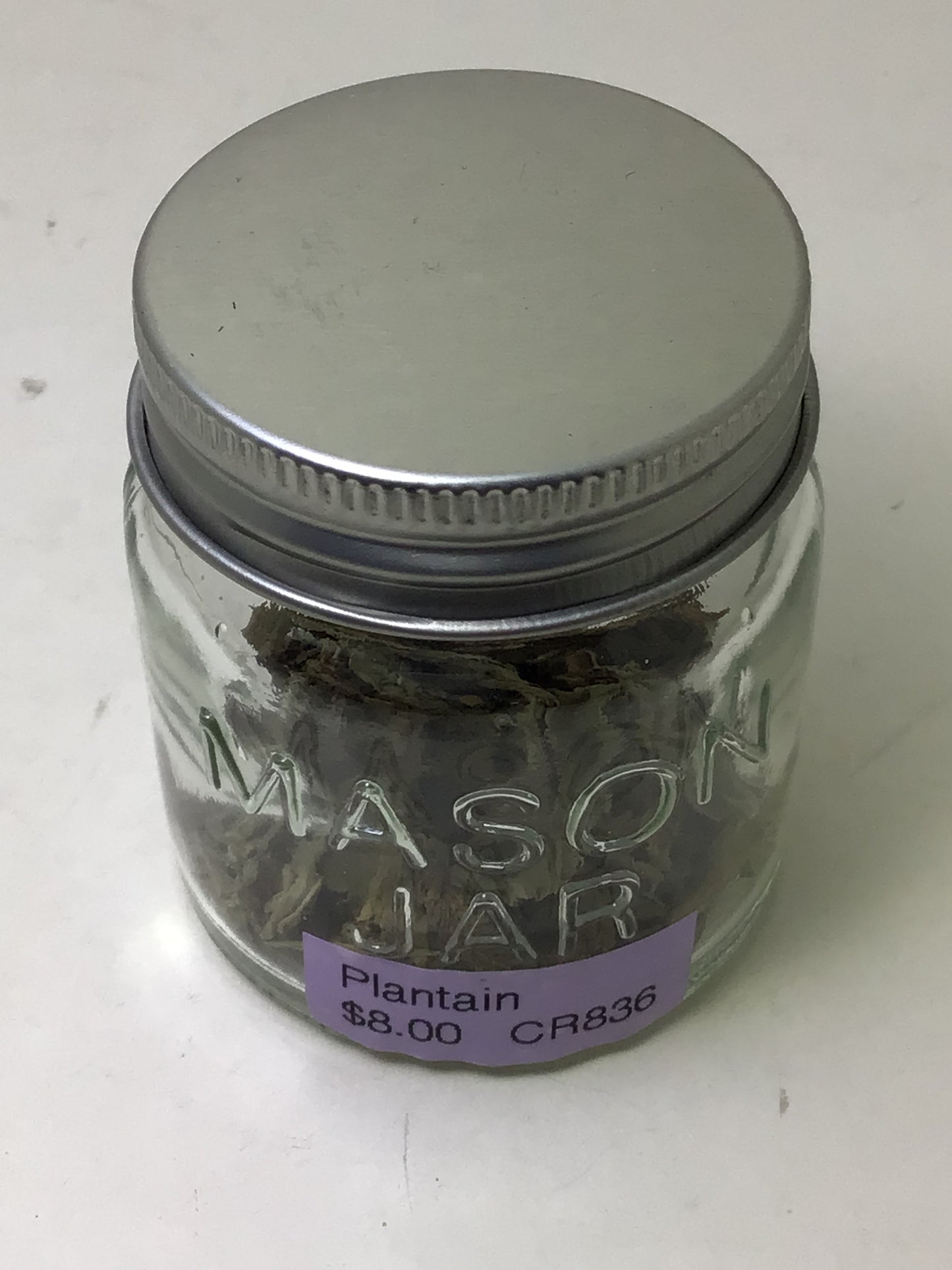 Plantain Herb Jar