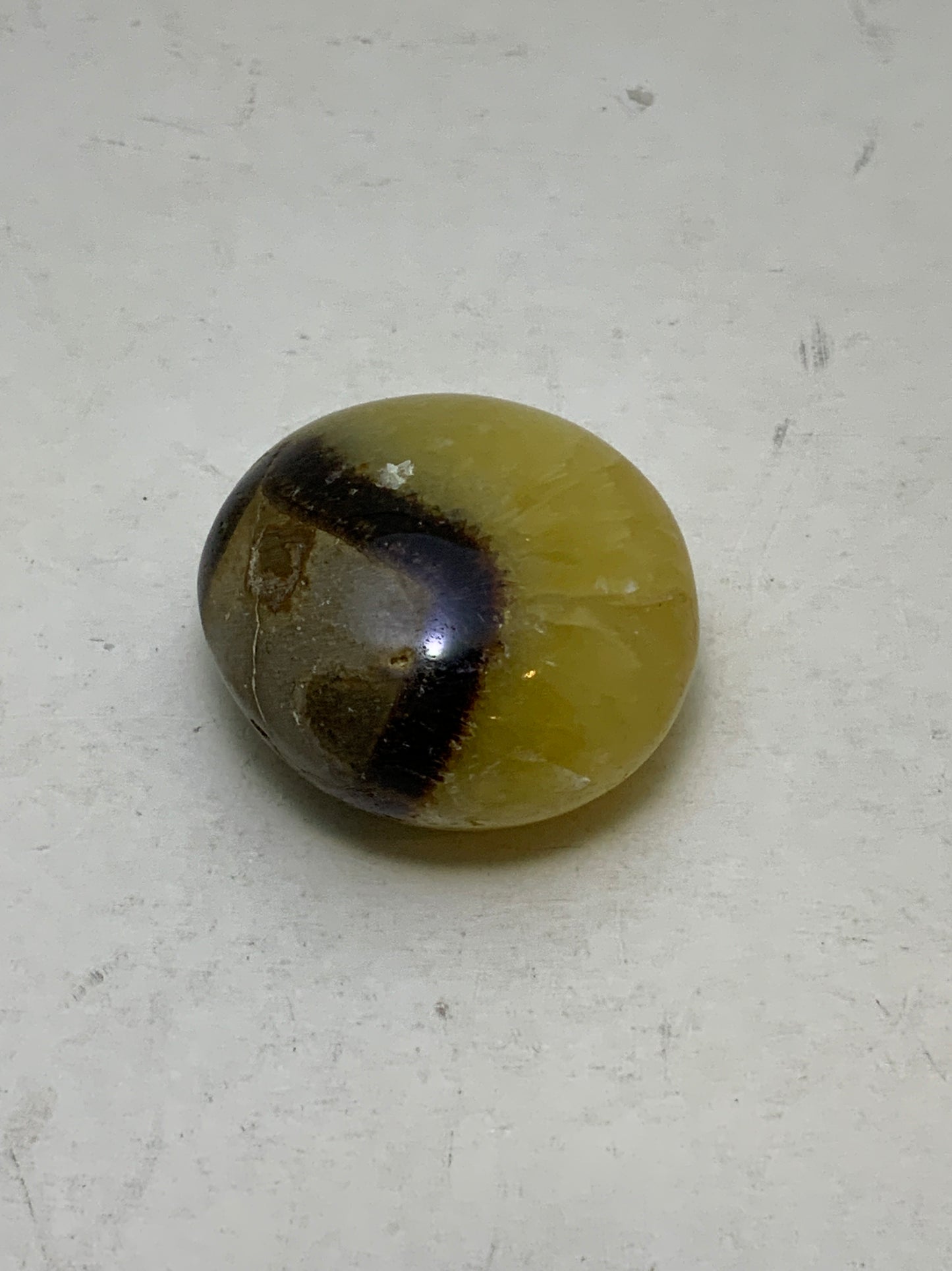 Septarian Nugget