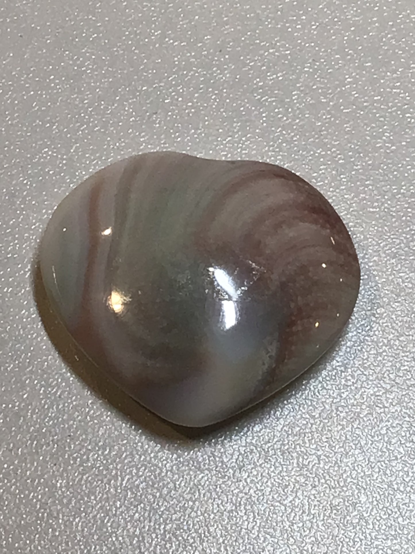 Shiva Shell Heart
