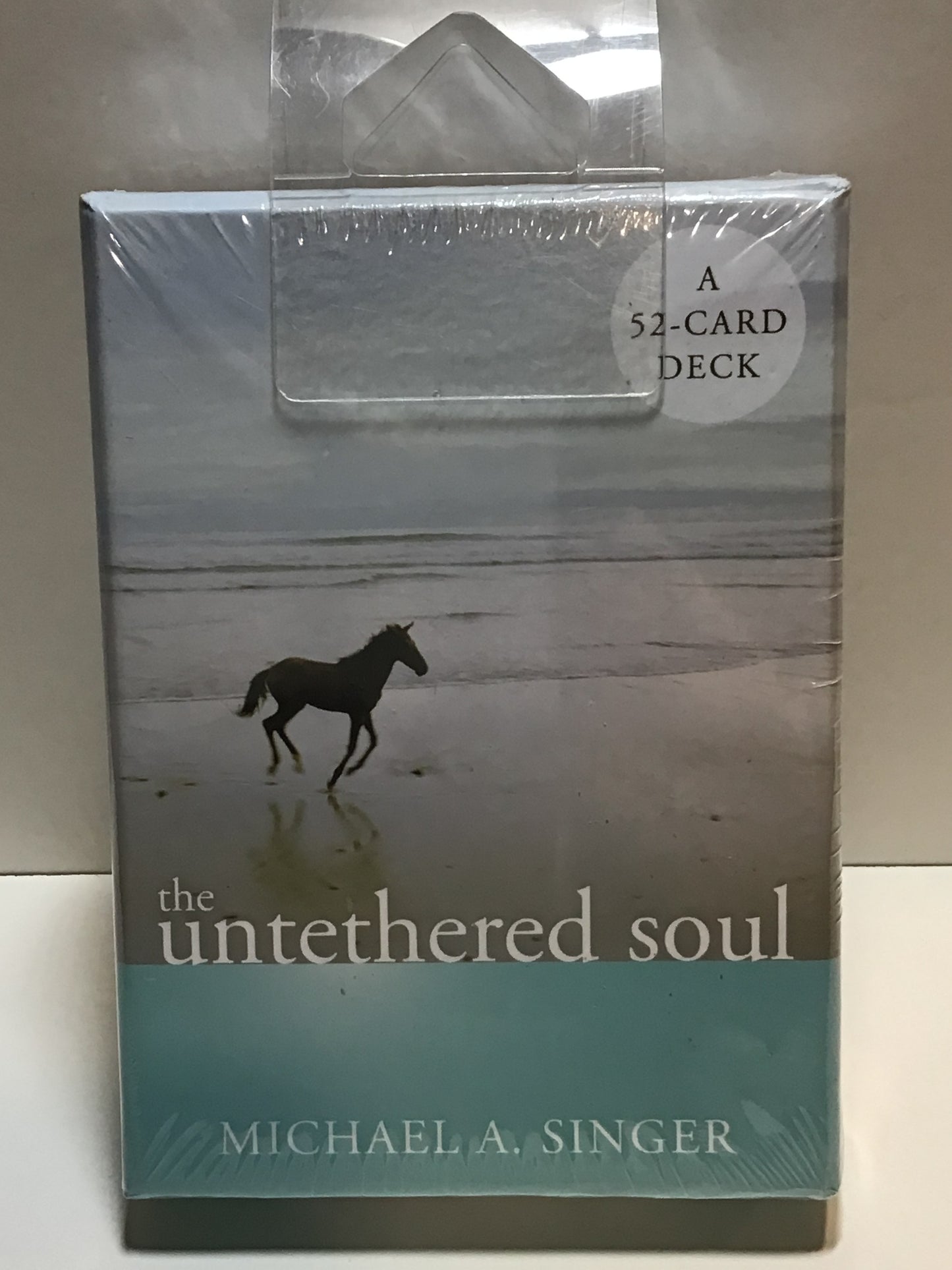 The Untethered Soul