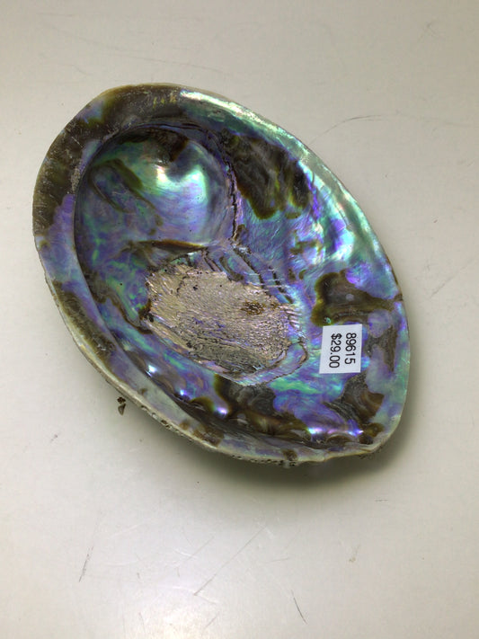 Abalone Smudge Shell