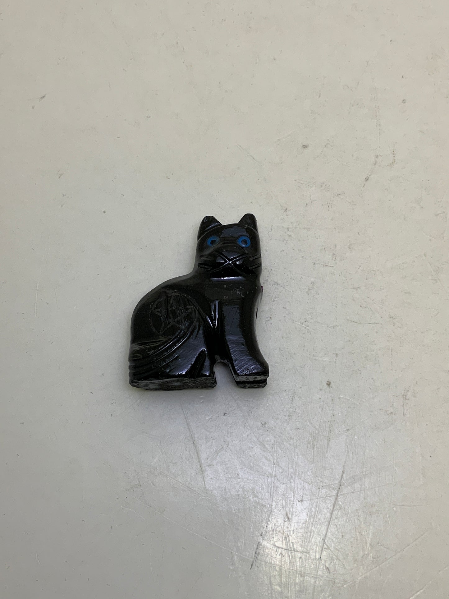 Cat with Pentacle Spirit Animal