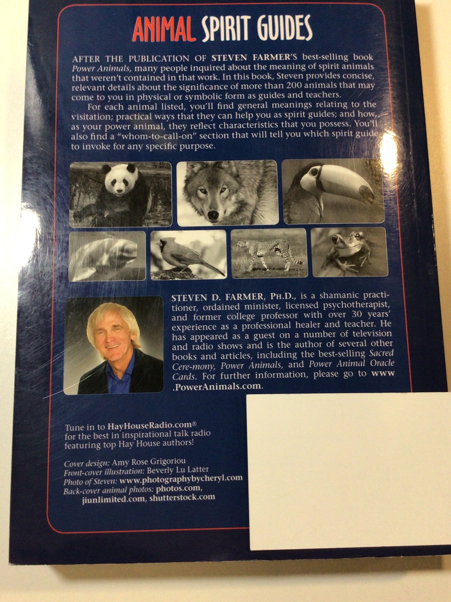 Animal Spirit Guides