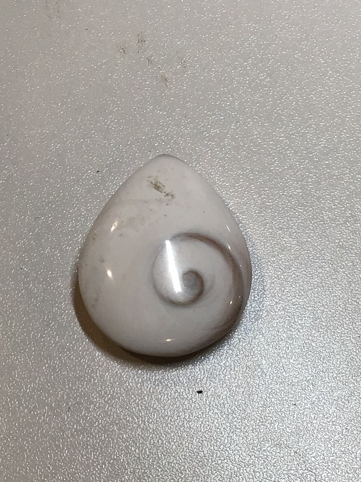 Shiva Shell Teardrop