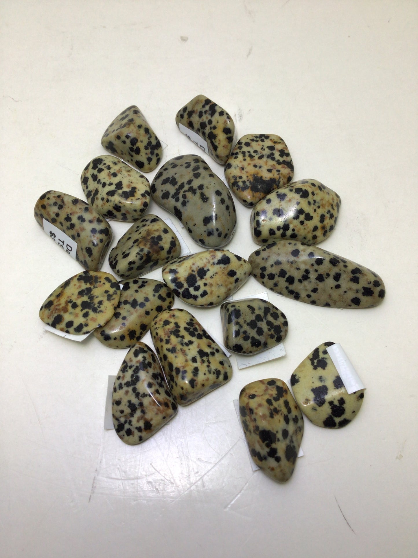 Dalmation Jasper