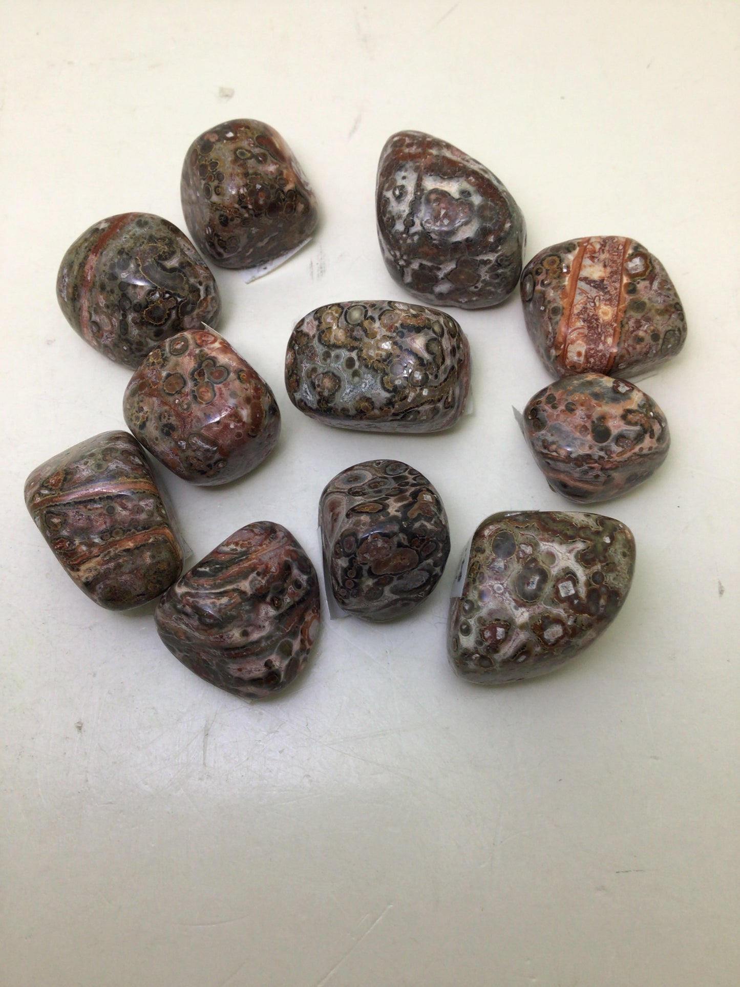 Leopardskin Jasper