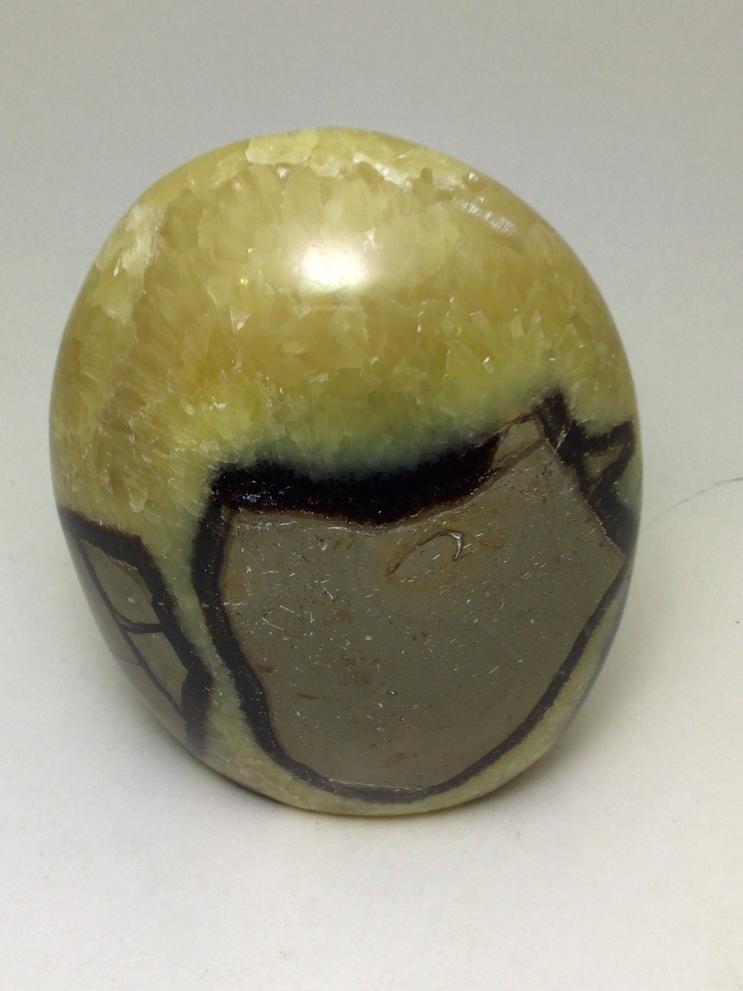 Septarian Freeform