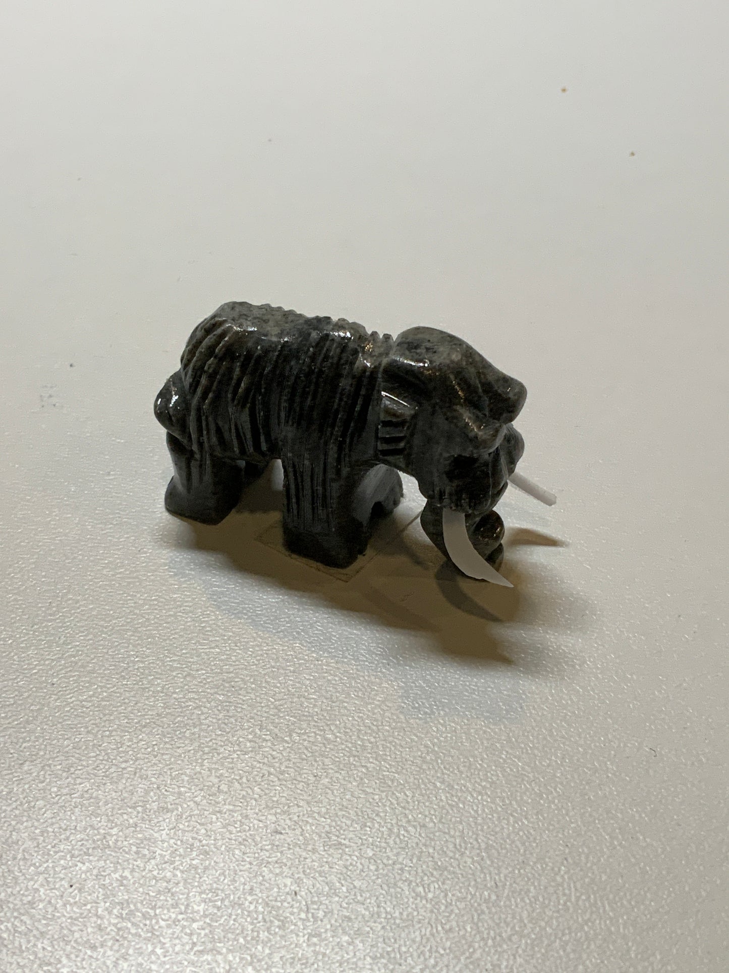 Prehistoric Dinosaur