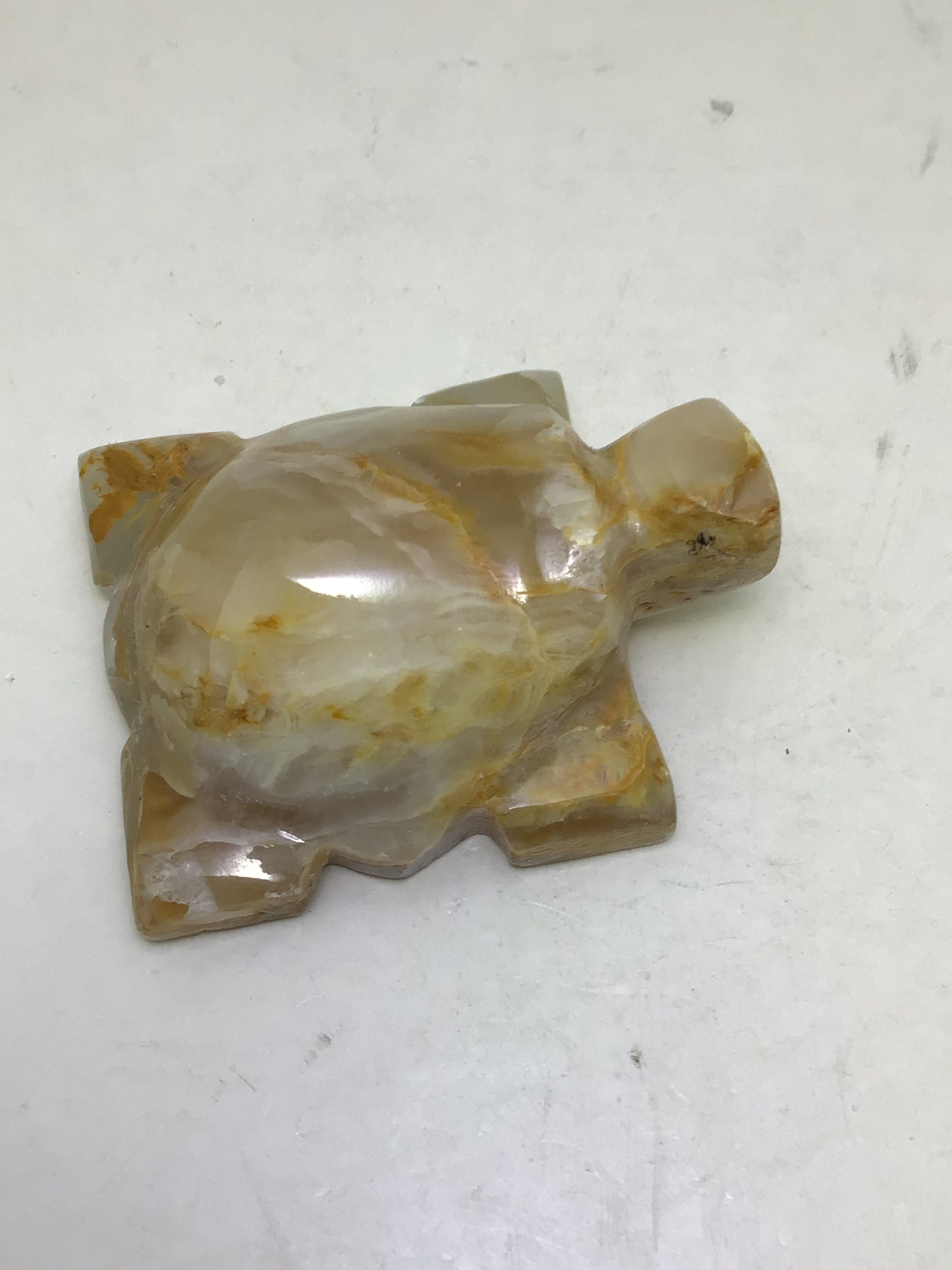 Onyx Turtle