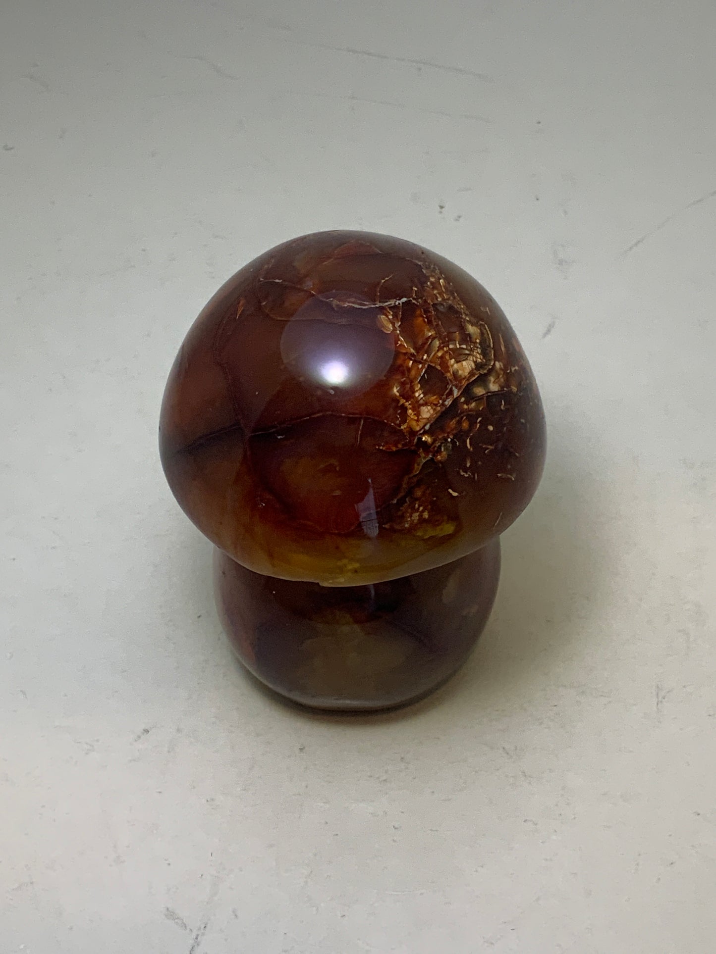 Gemstone Mushroom