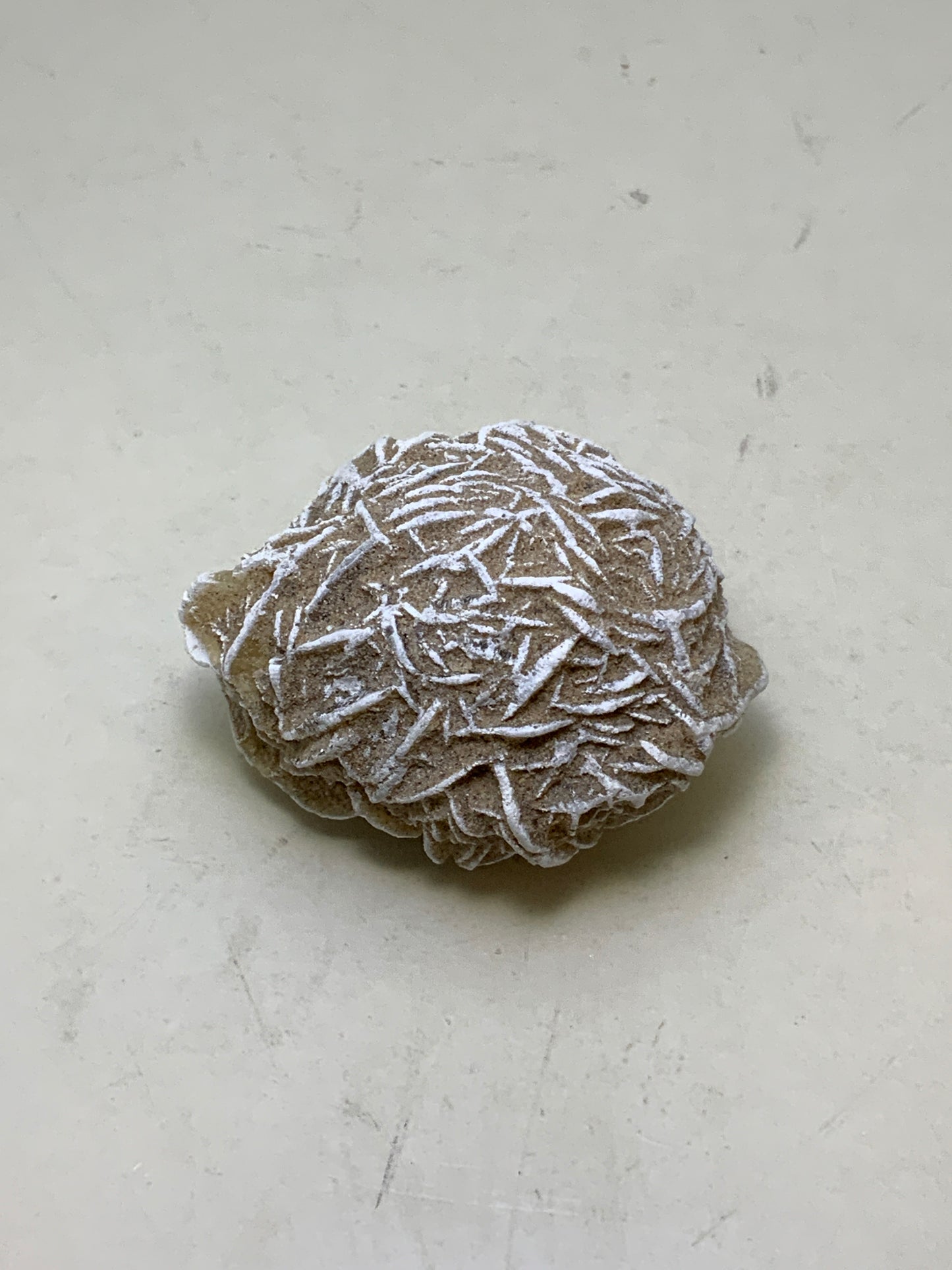 Desert Rose