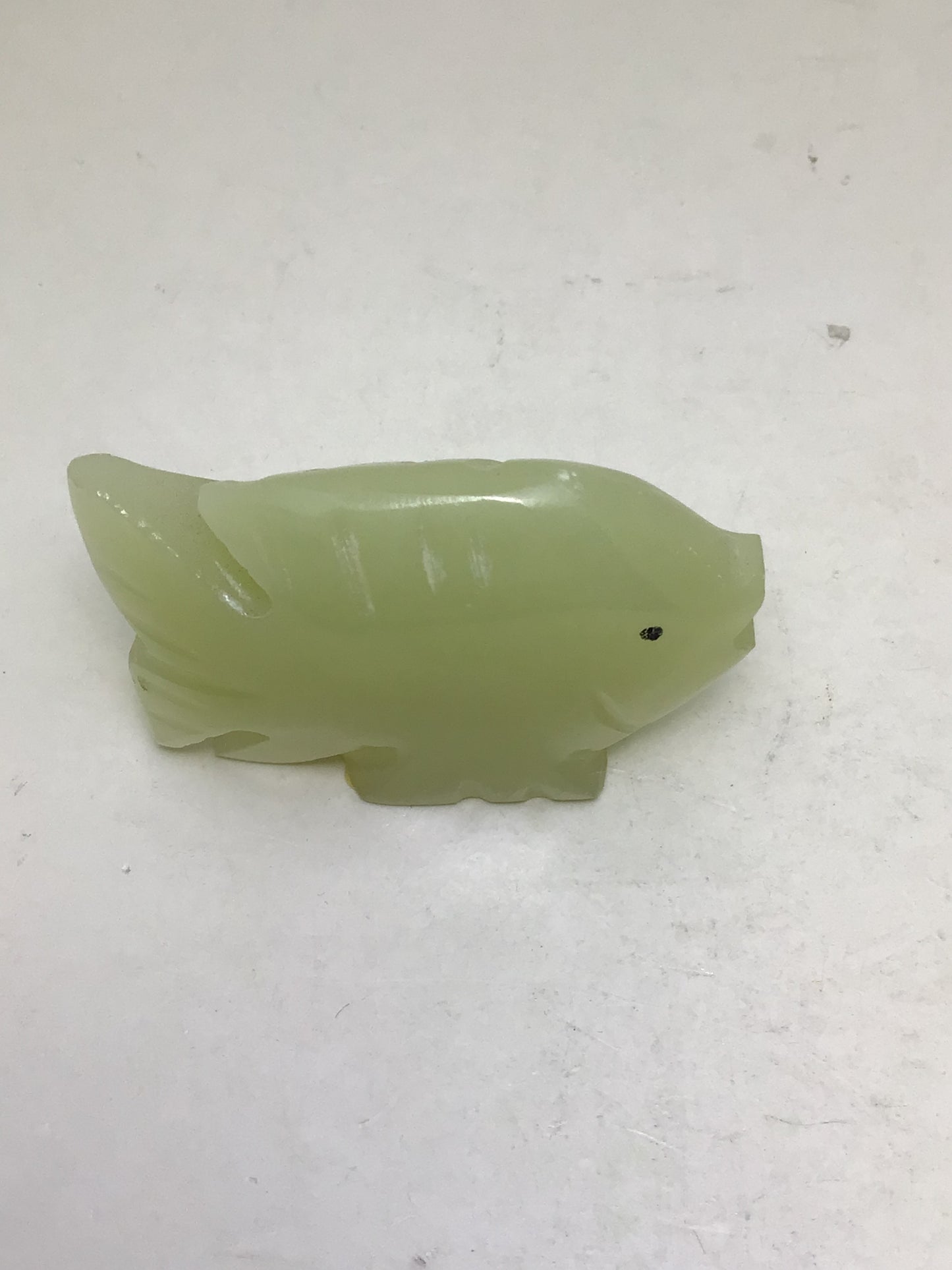 Onyx Fish