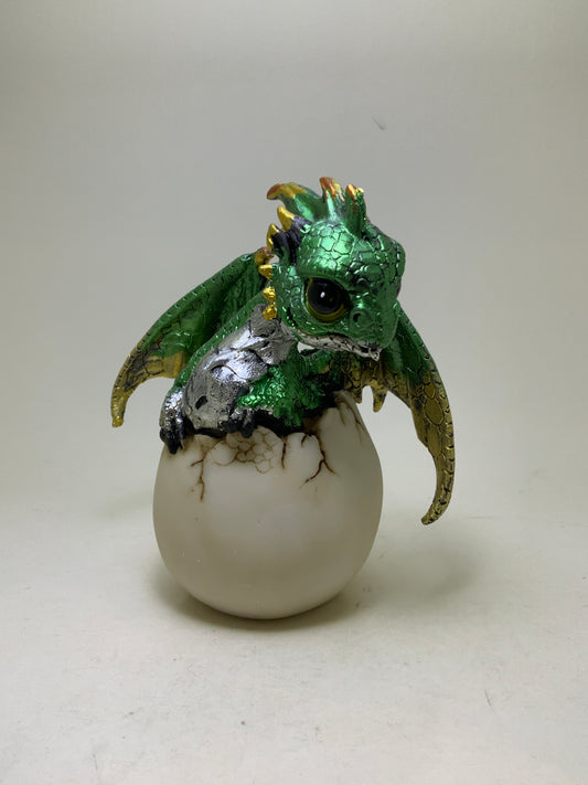 Baby Dragon Hatching