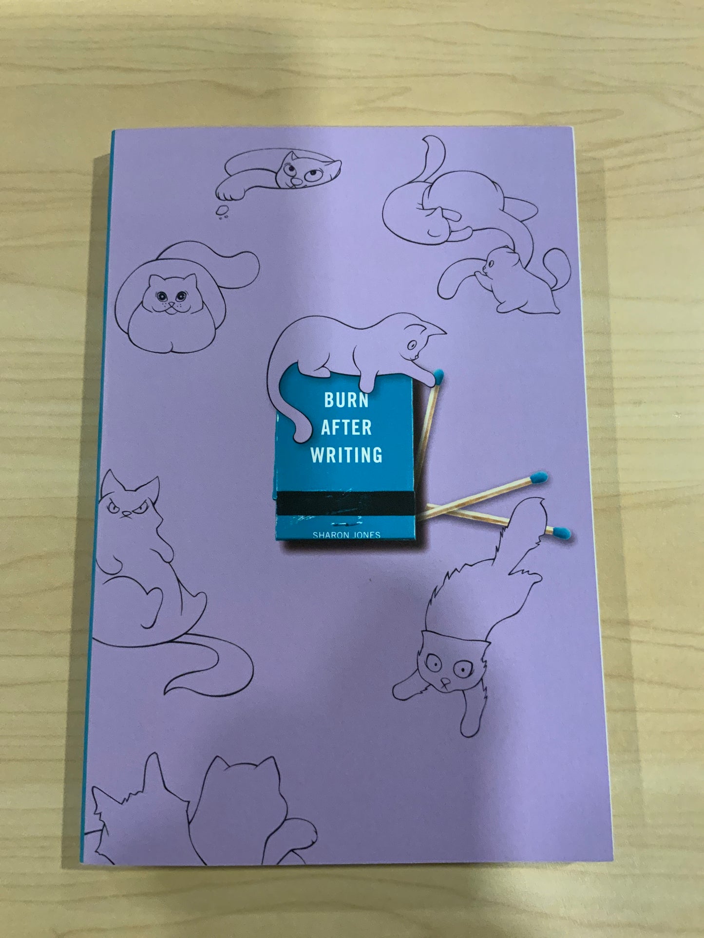 Burn After Writing Cats Journal