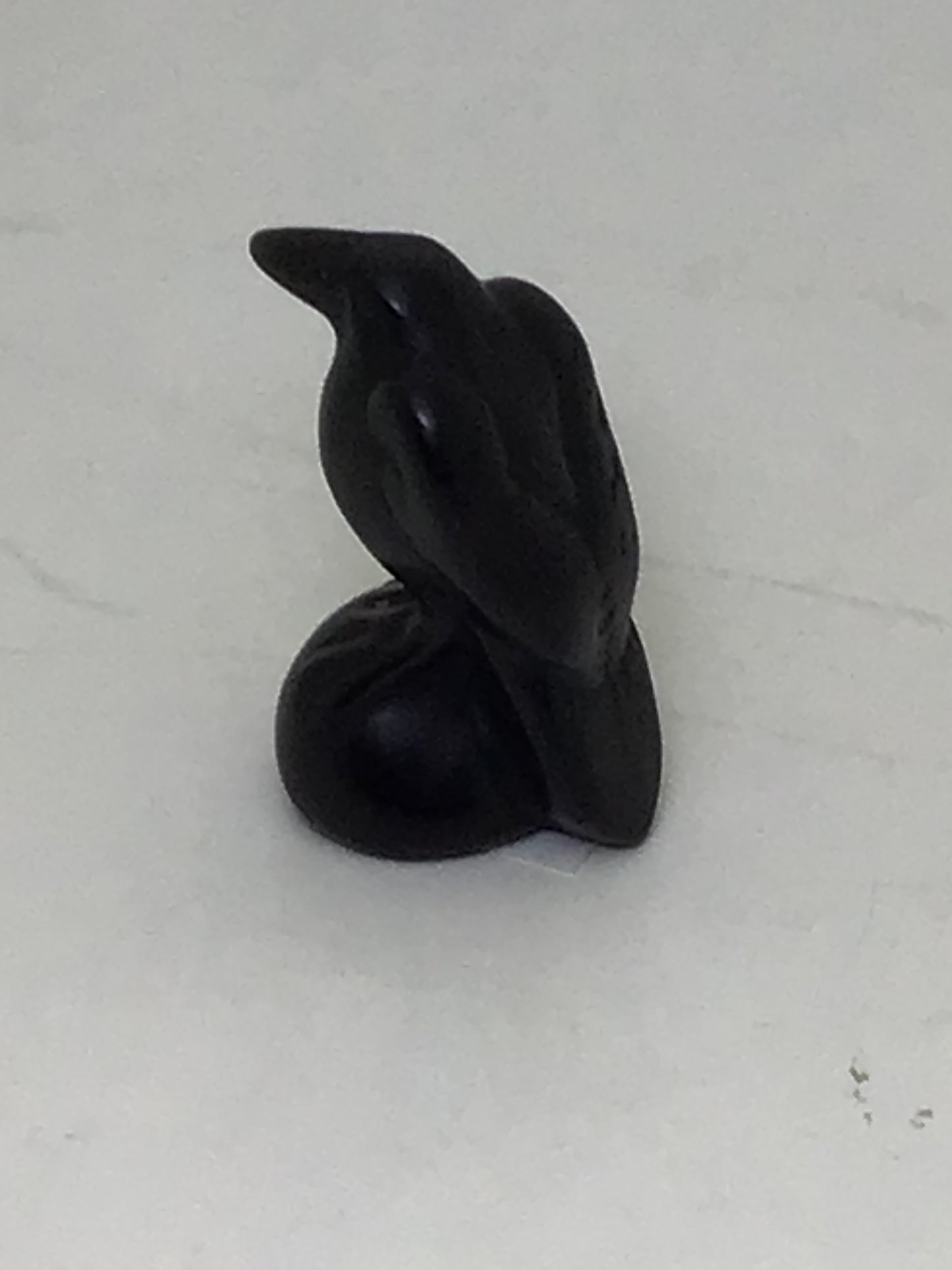 Black Obsidian Raven