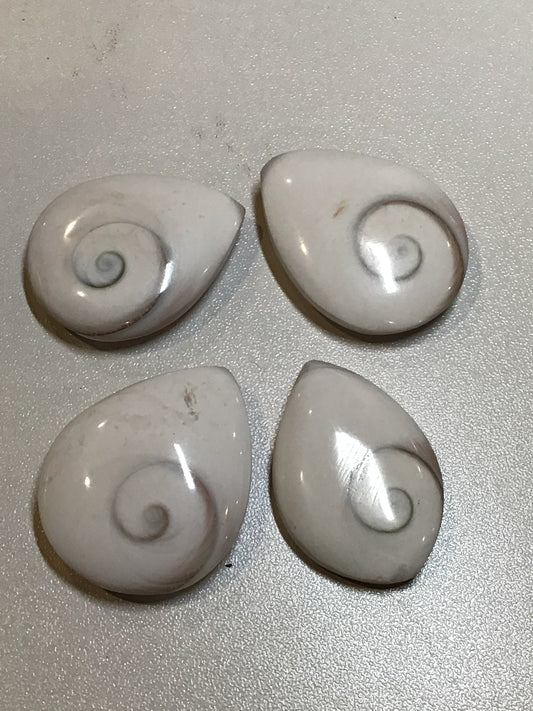 Shiva Shell Teardrop