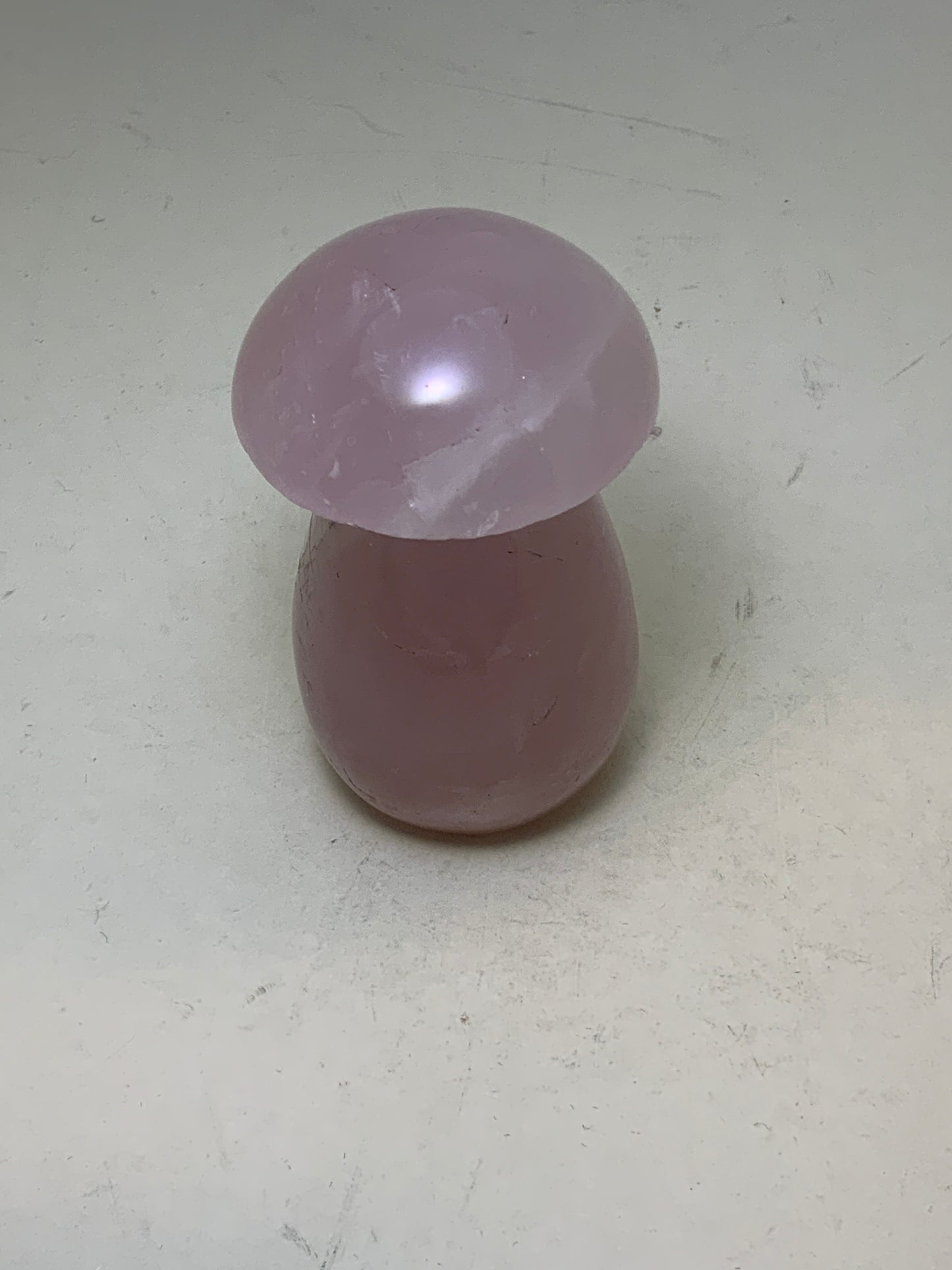 Gemstone Mushroom
