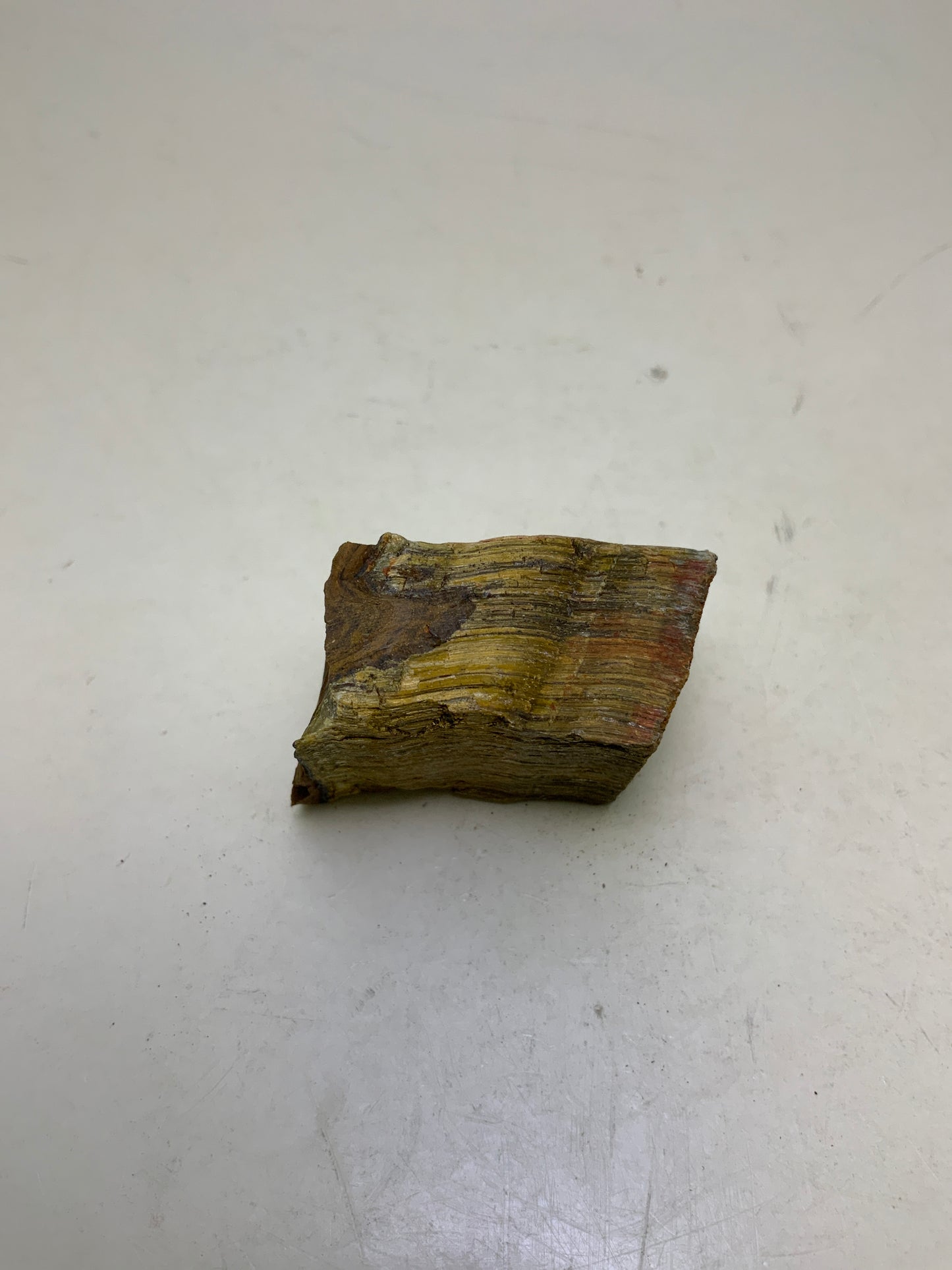 Tiger Eye