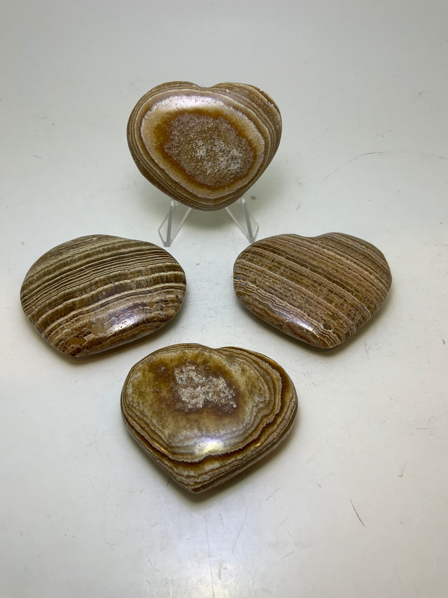 Brown Argonite Heart