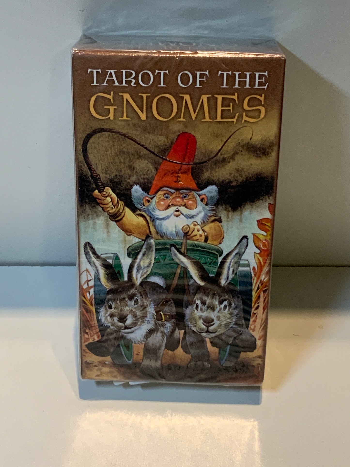 Tarot of the Gnomes