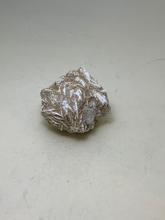 Desert Rose