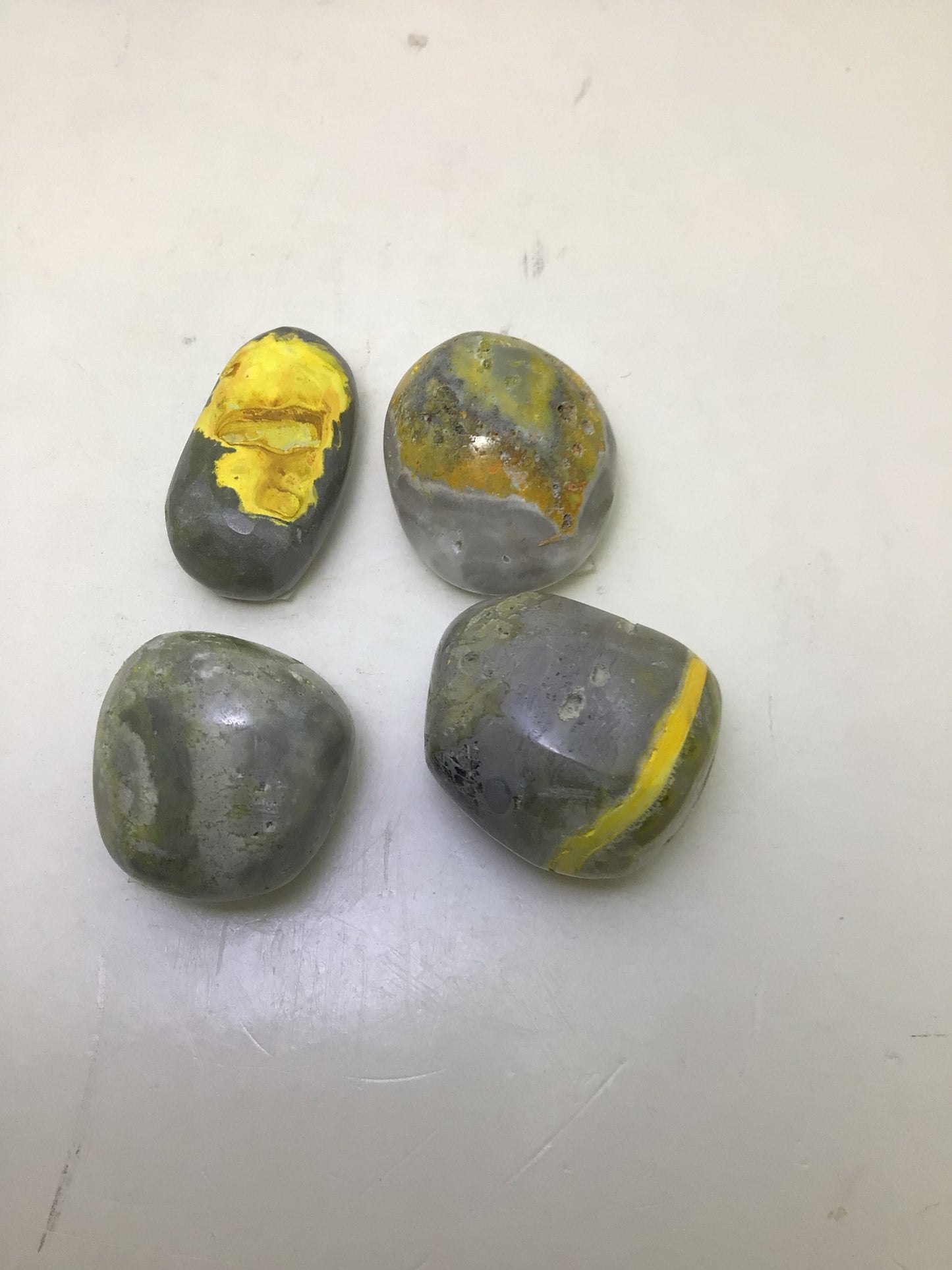 Bumblebee Jasper