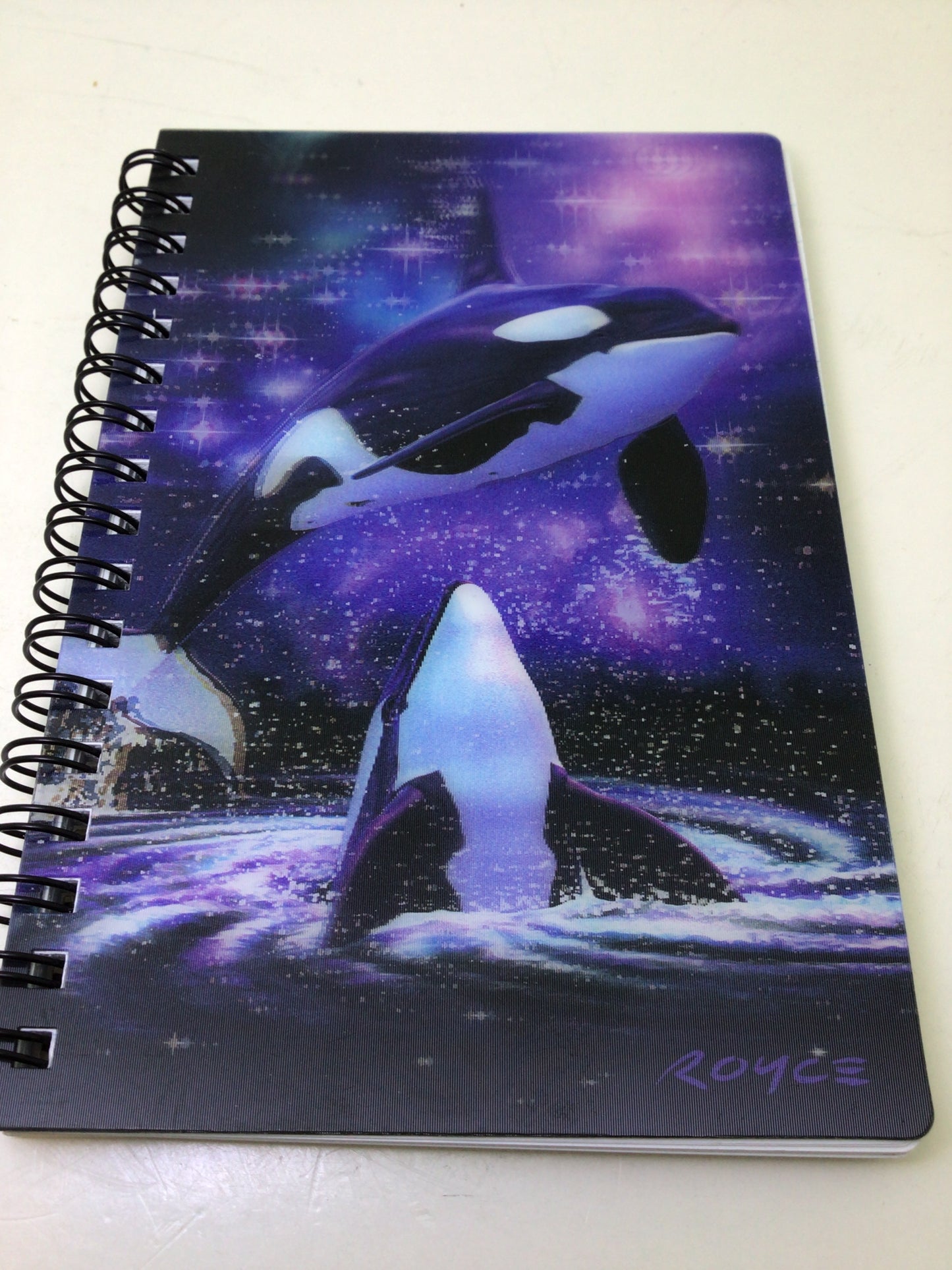 Space Orcas Notebook