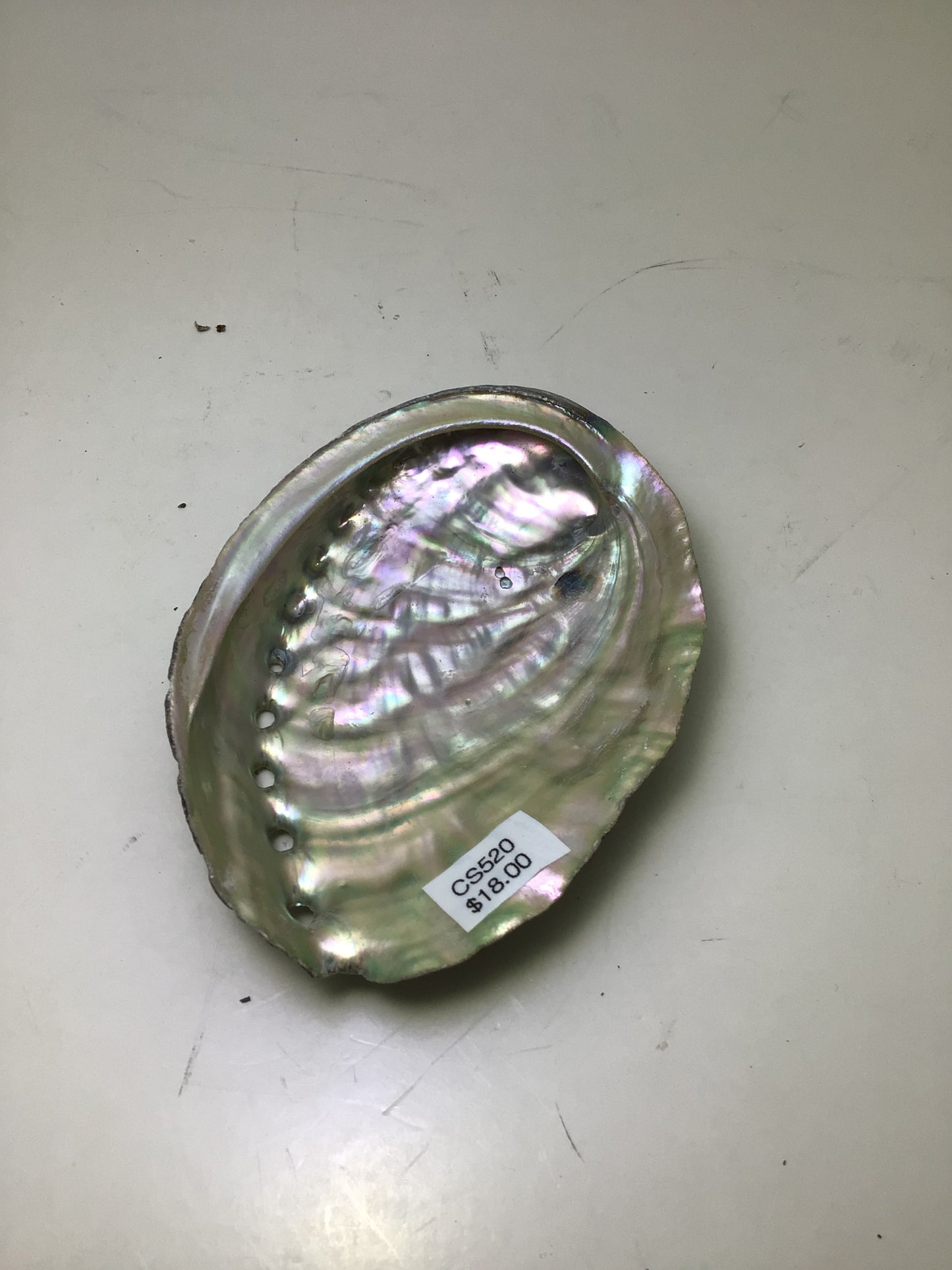 Abalone Smudge Shell