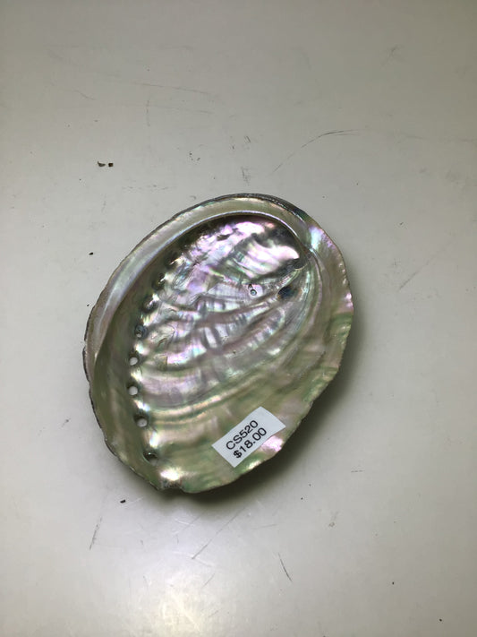 Abalone Smudge Shell