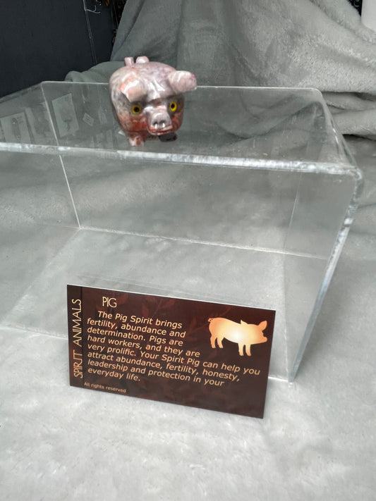 Lucky Pig Spirit Animal