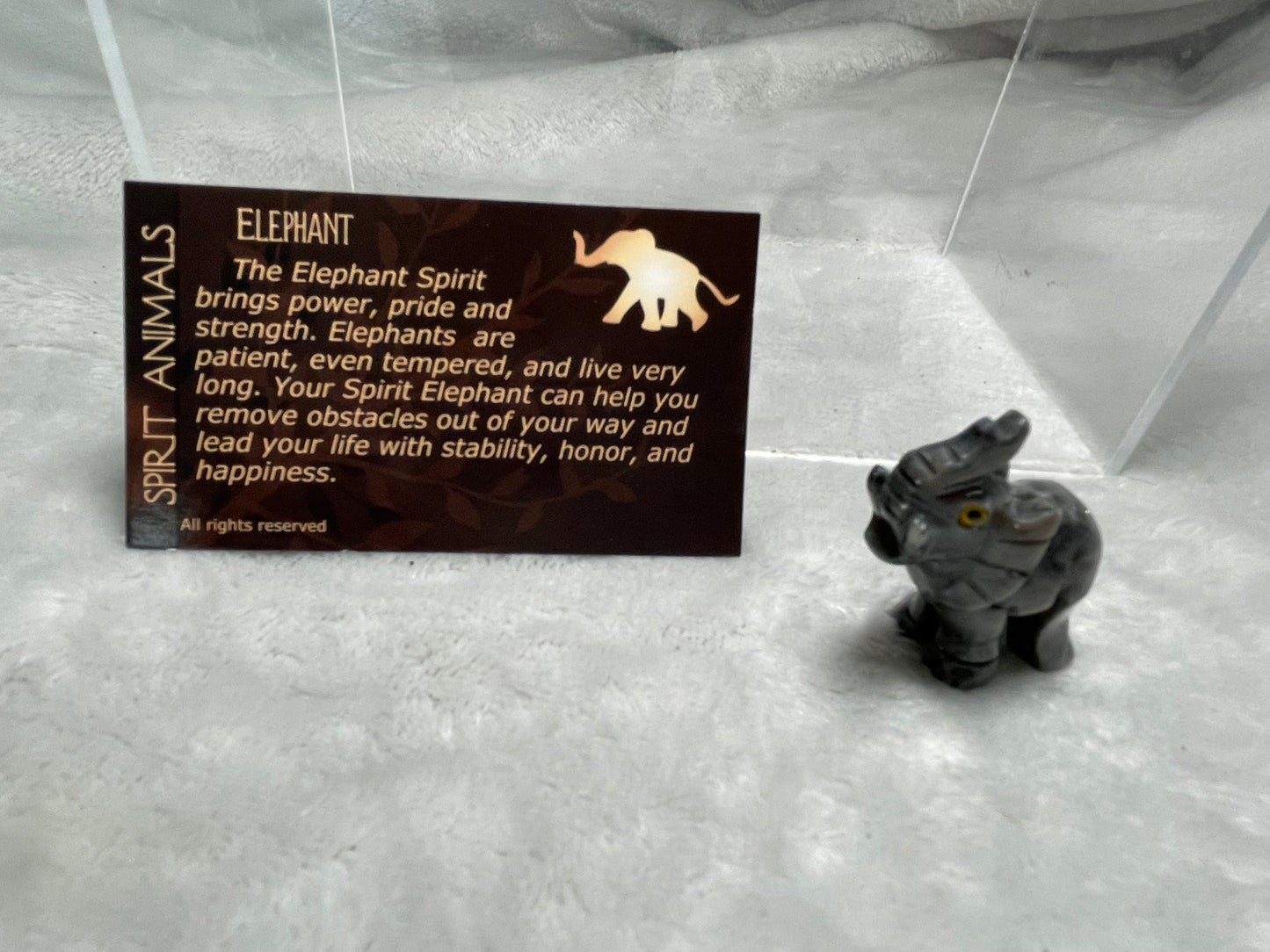 Elephant Spirit Animal