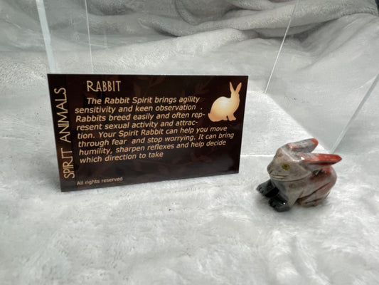 Rabbit Spirit Animal