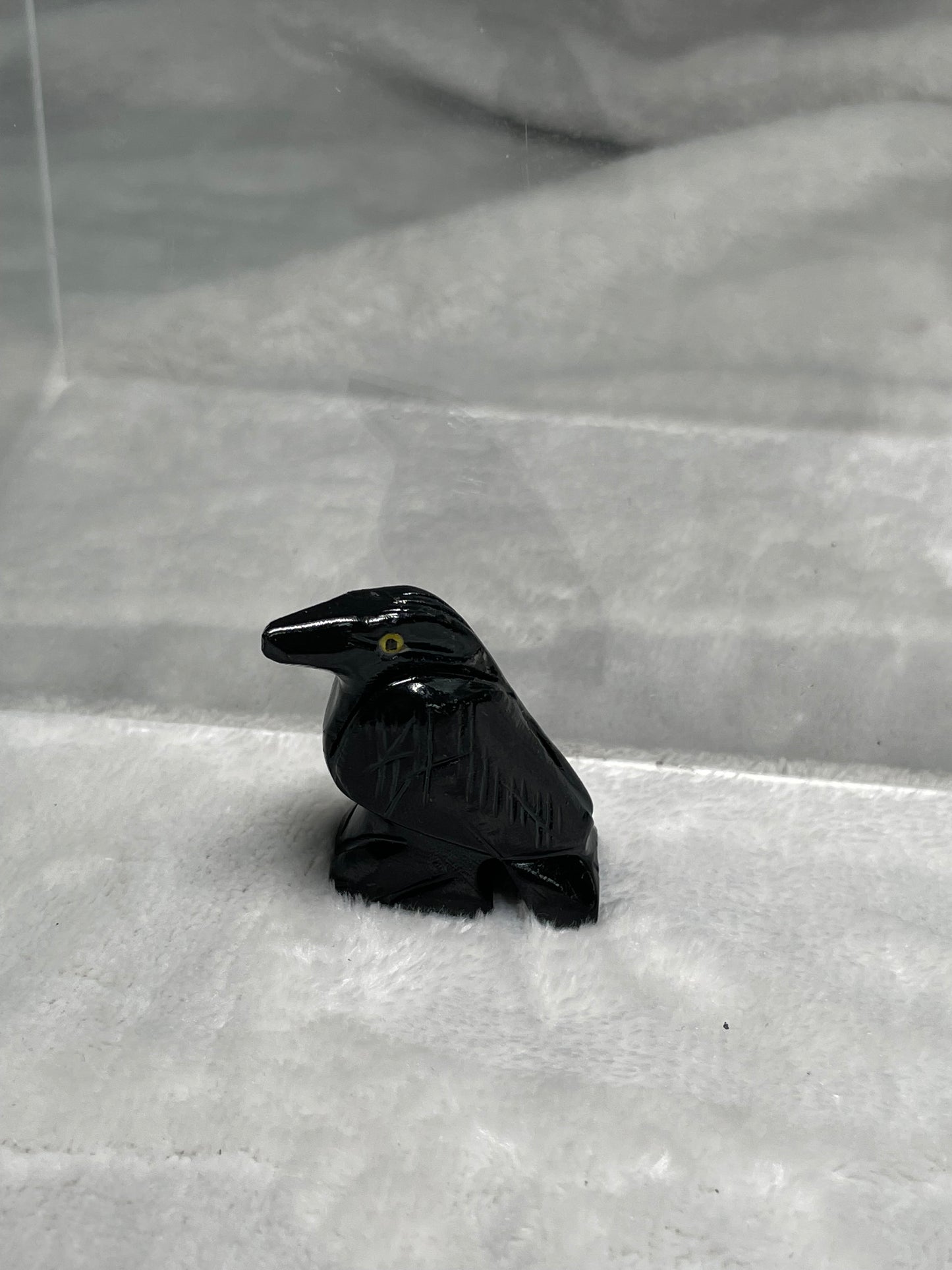 Raven Spirit Animal