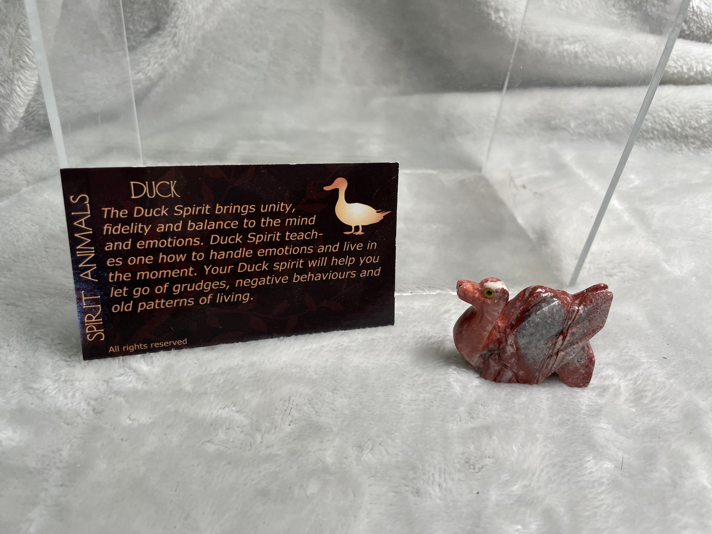 Duck Spirit Animal.