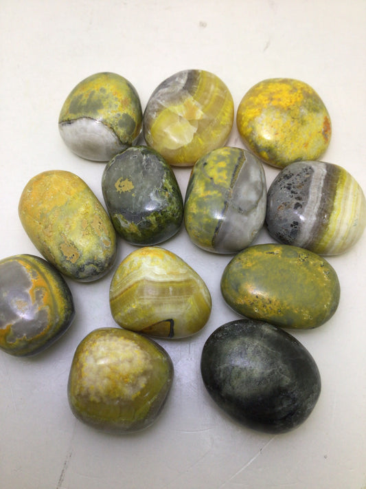 Bumblebee Jasper