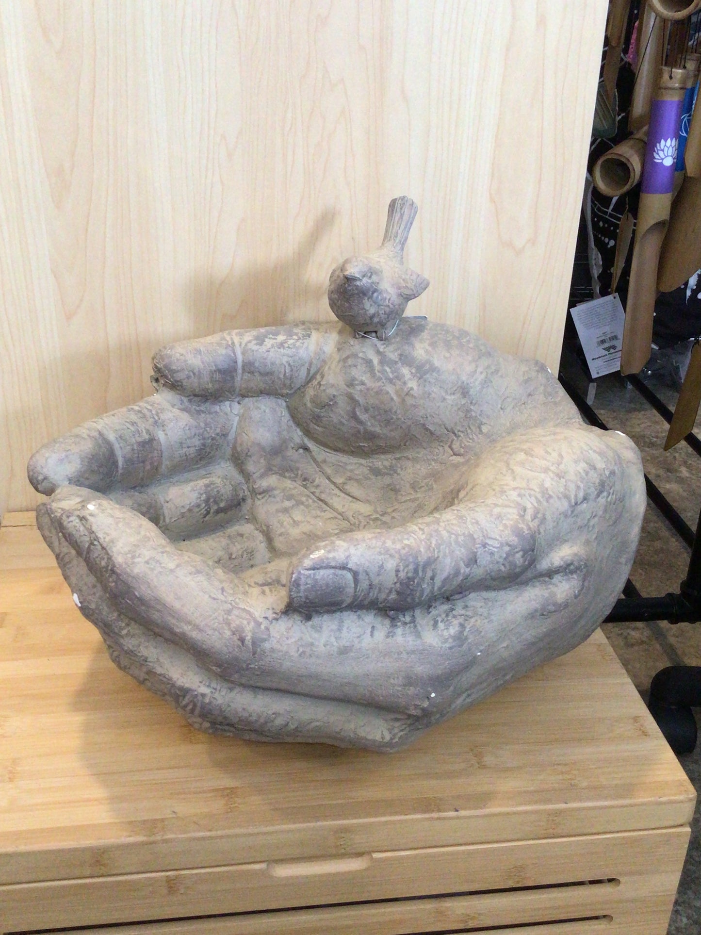 Gods Hands with Bird