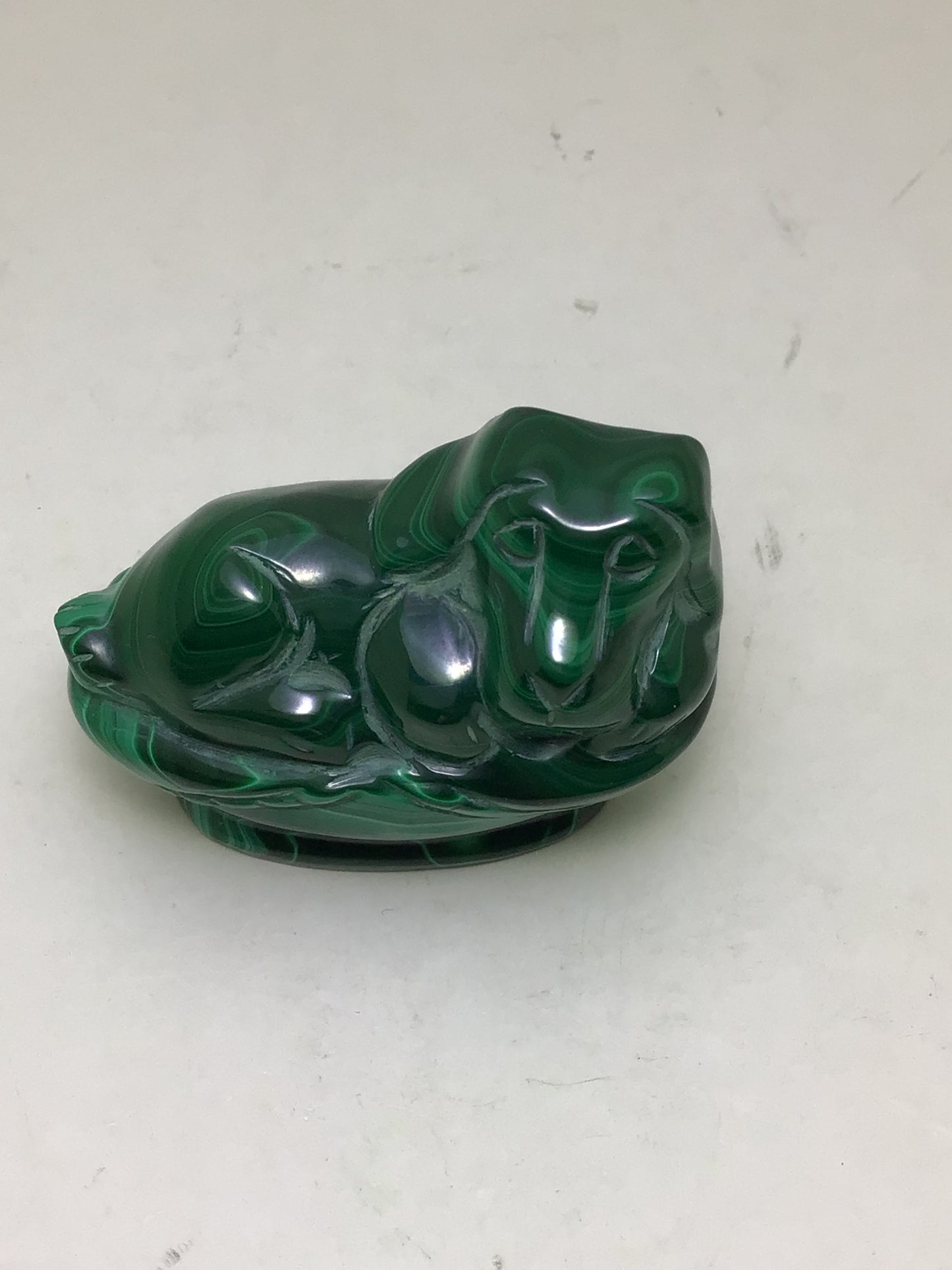 Green Malachite Dog