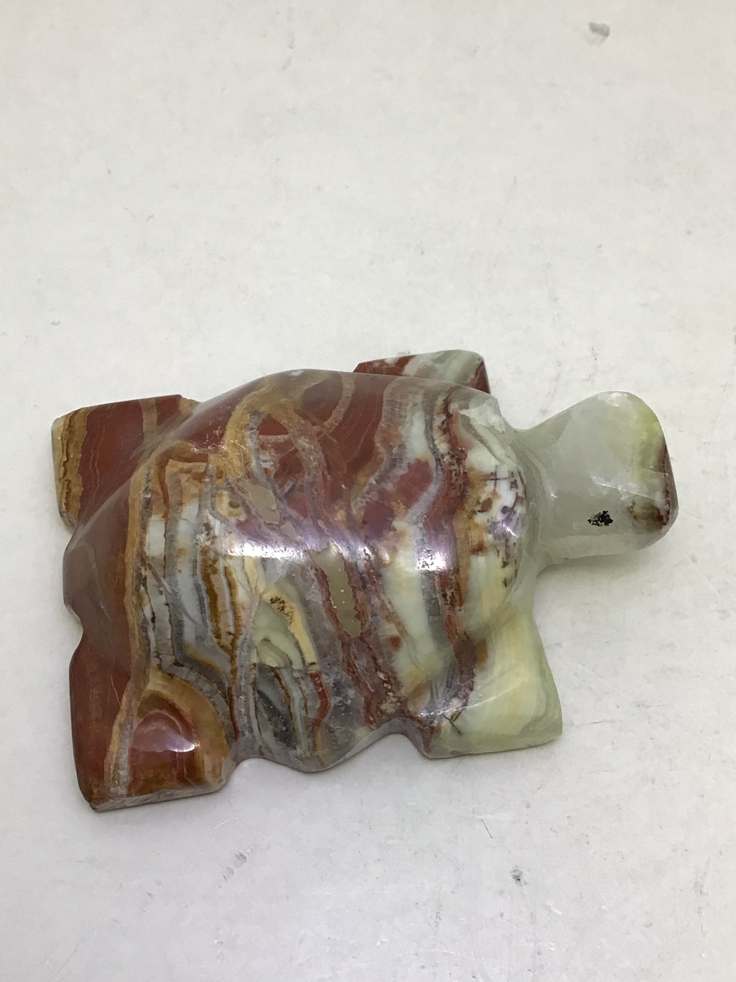 Onyx Turtle