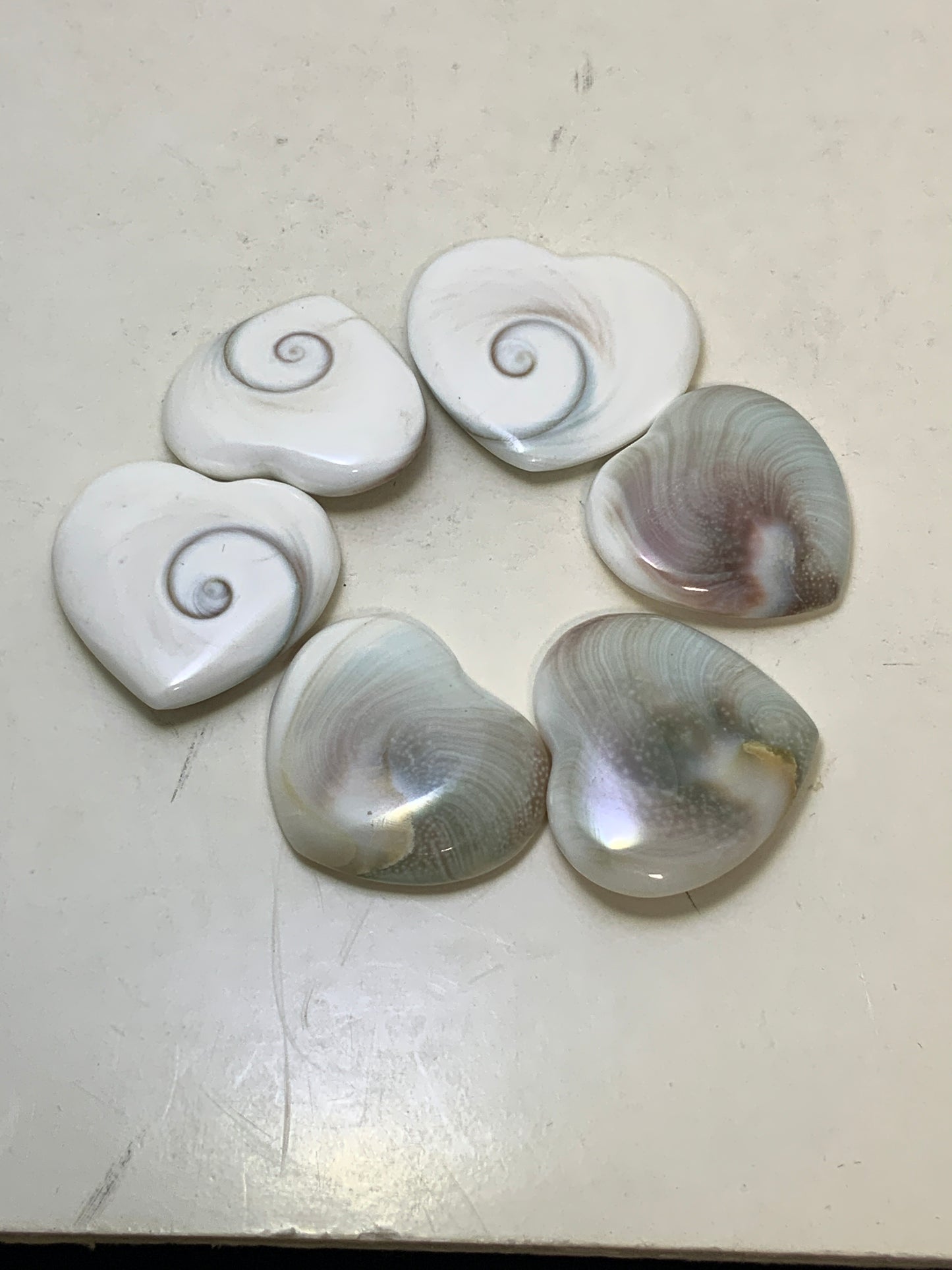 Shiva Shell Heart